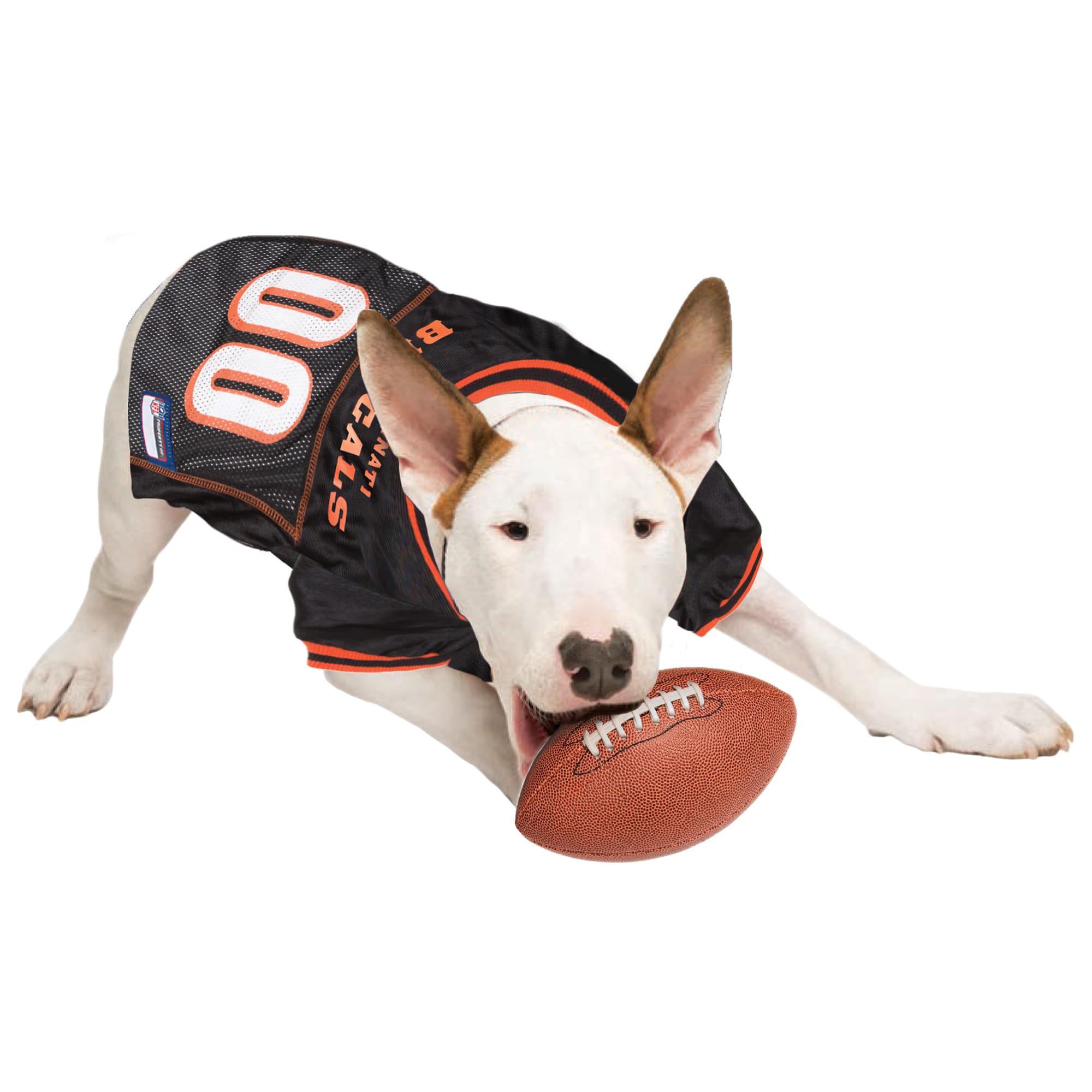 Dog clearance bengals jersey