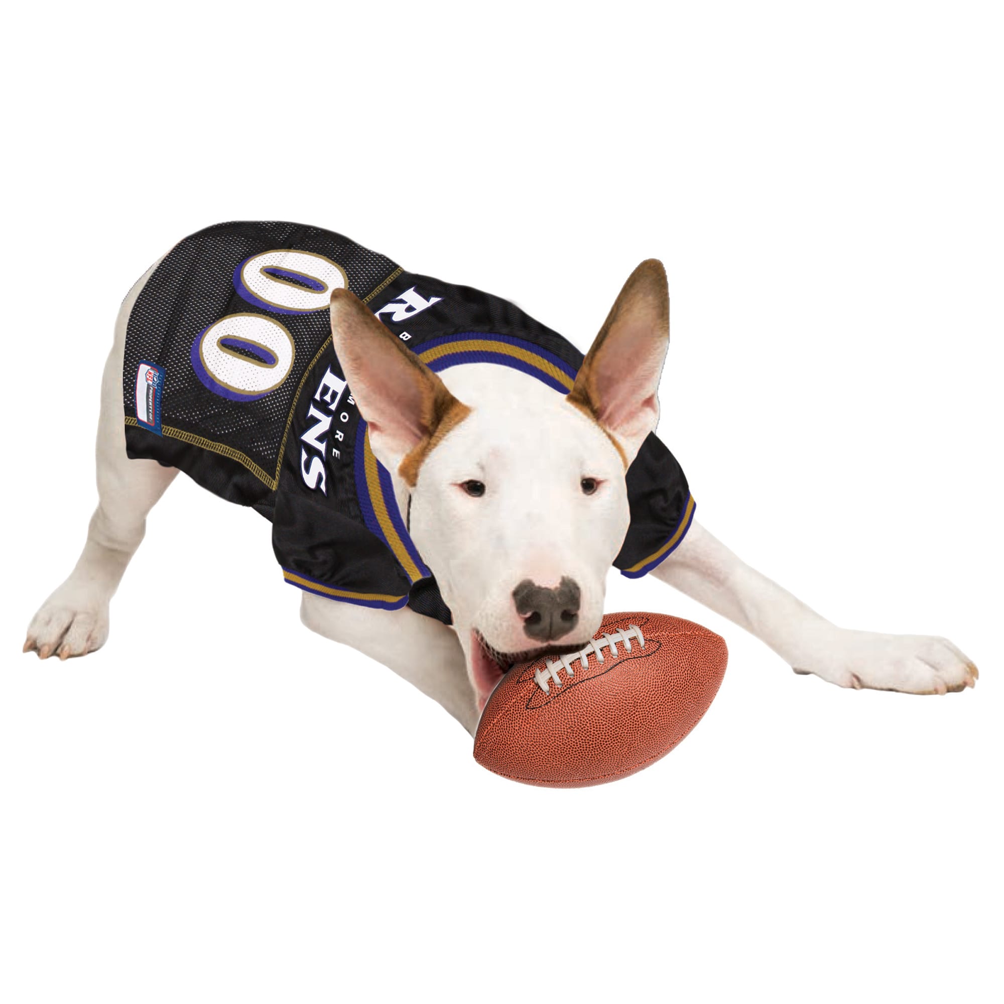 Dog store ravens jersey