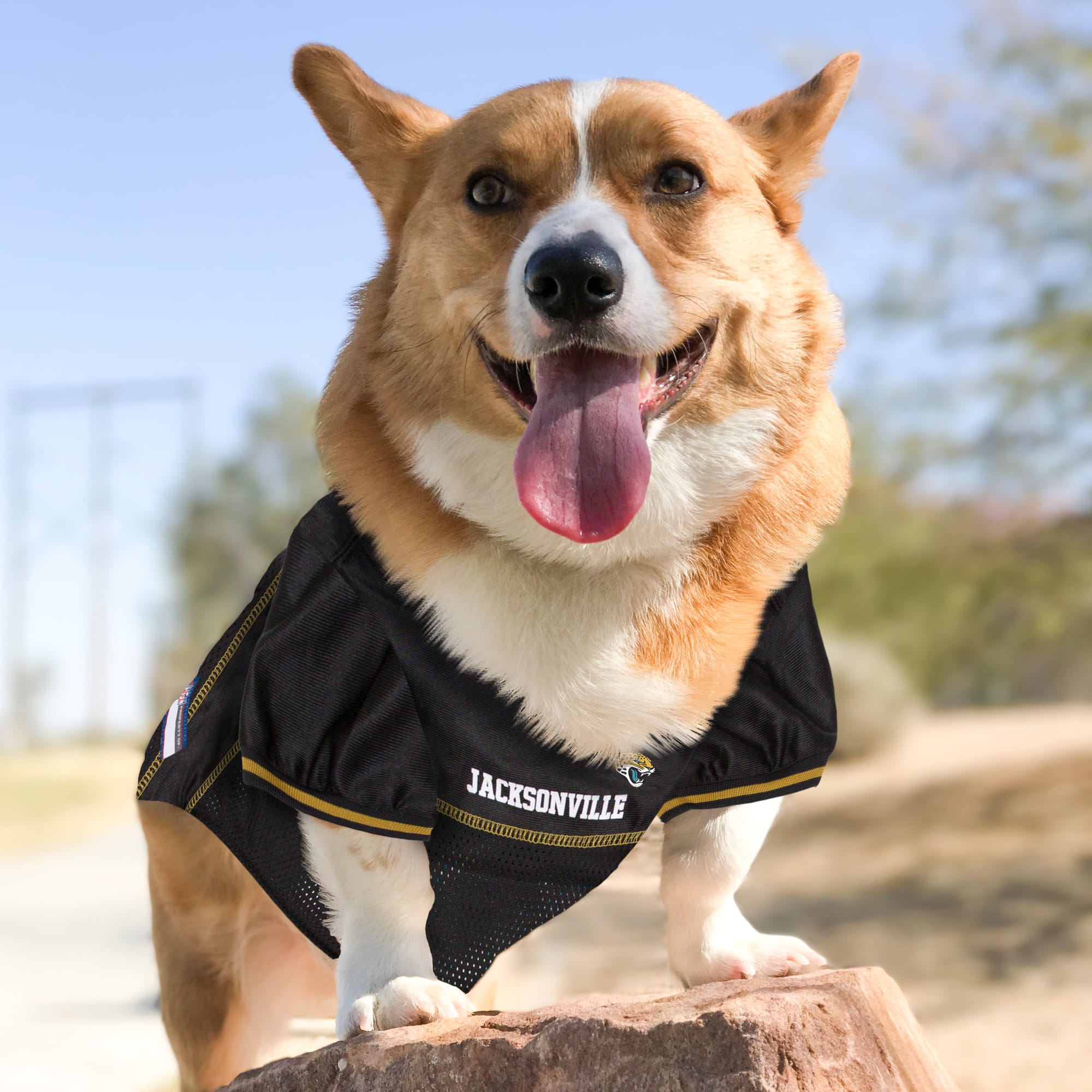 Dog texans jersey sale