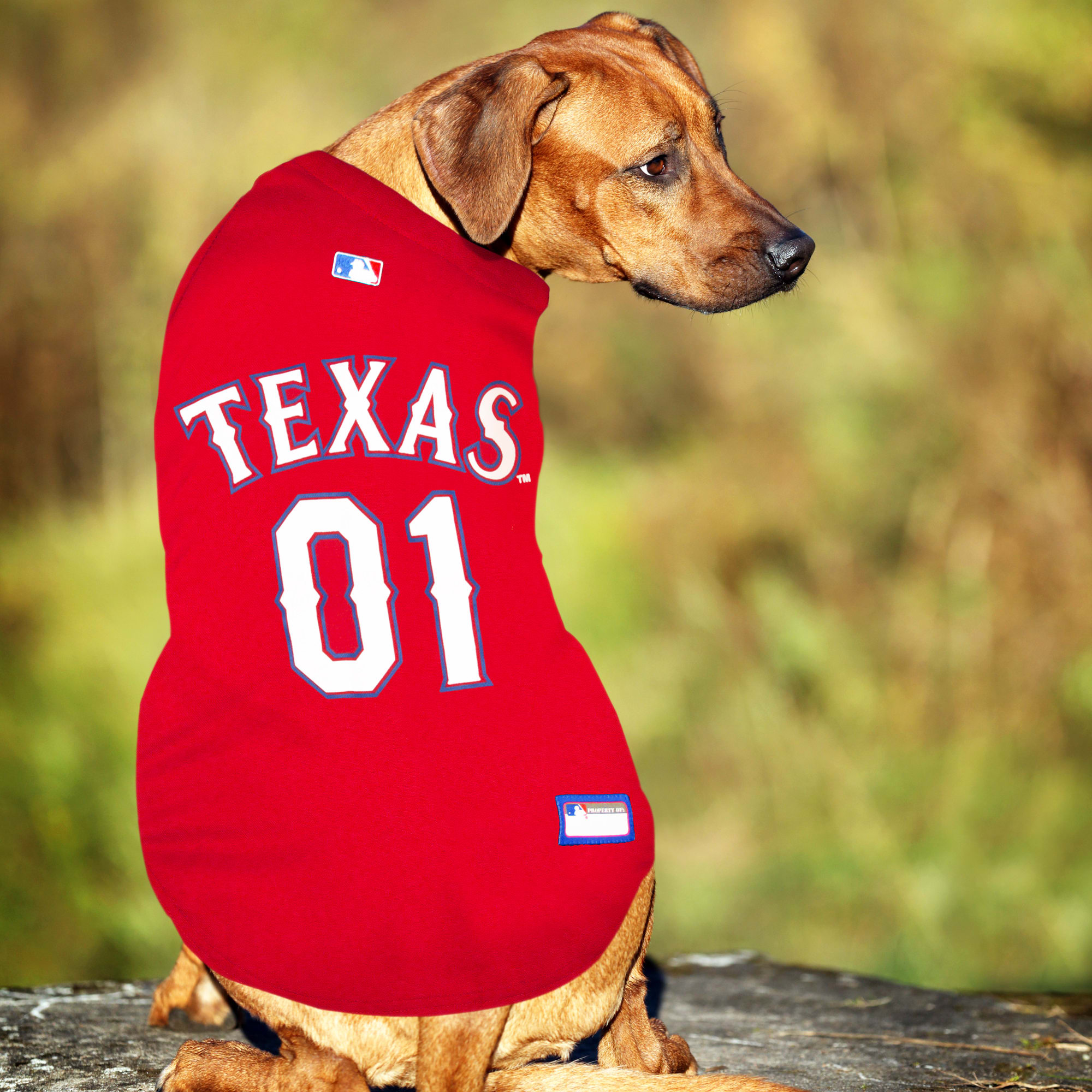 Dog astros hot sale jersey