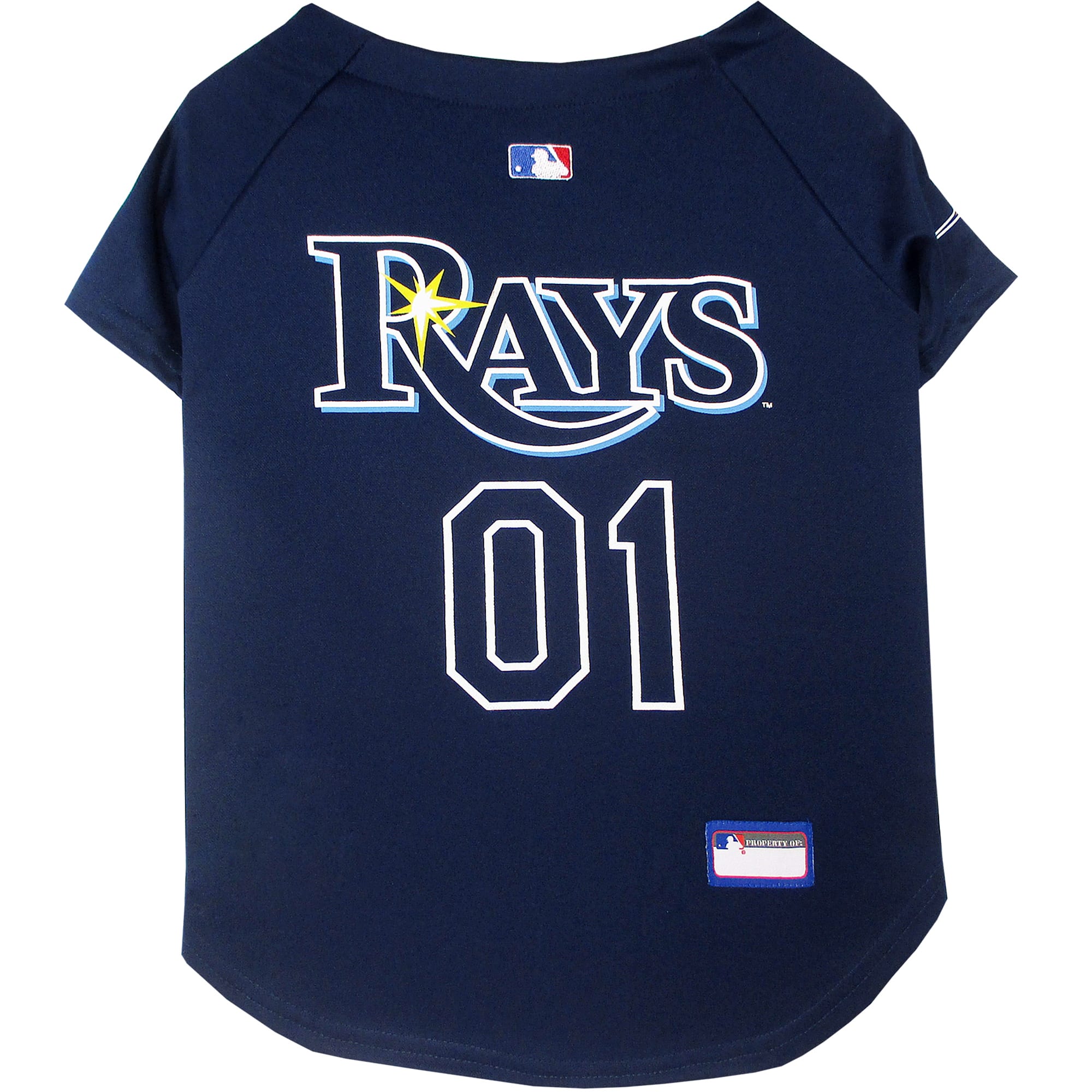 rays jersey