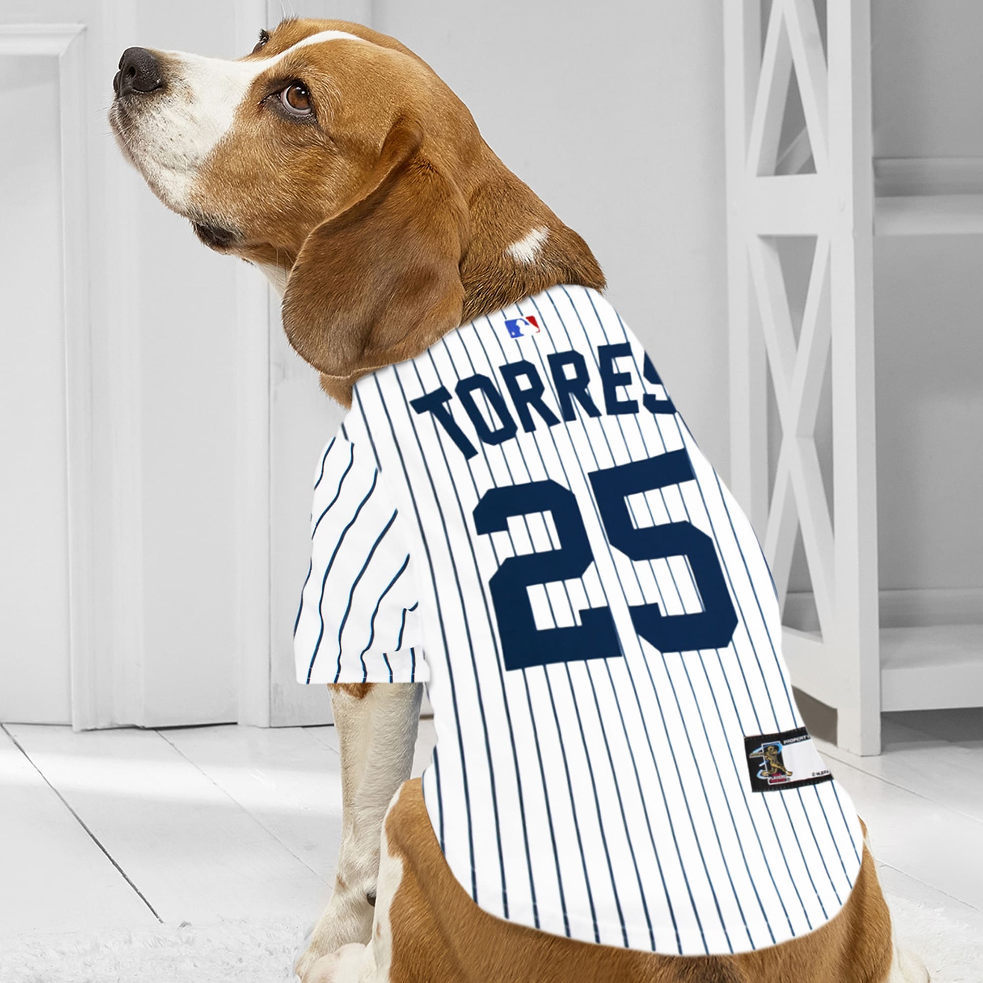astros dog jersey
