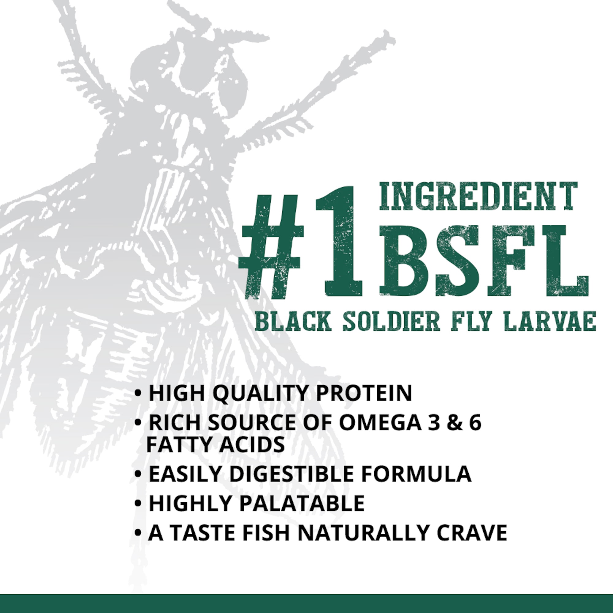 Fluval Bug Bites Algae Crisps – Exotic Wings & Pet Things Inc
