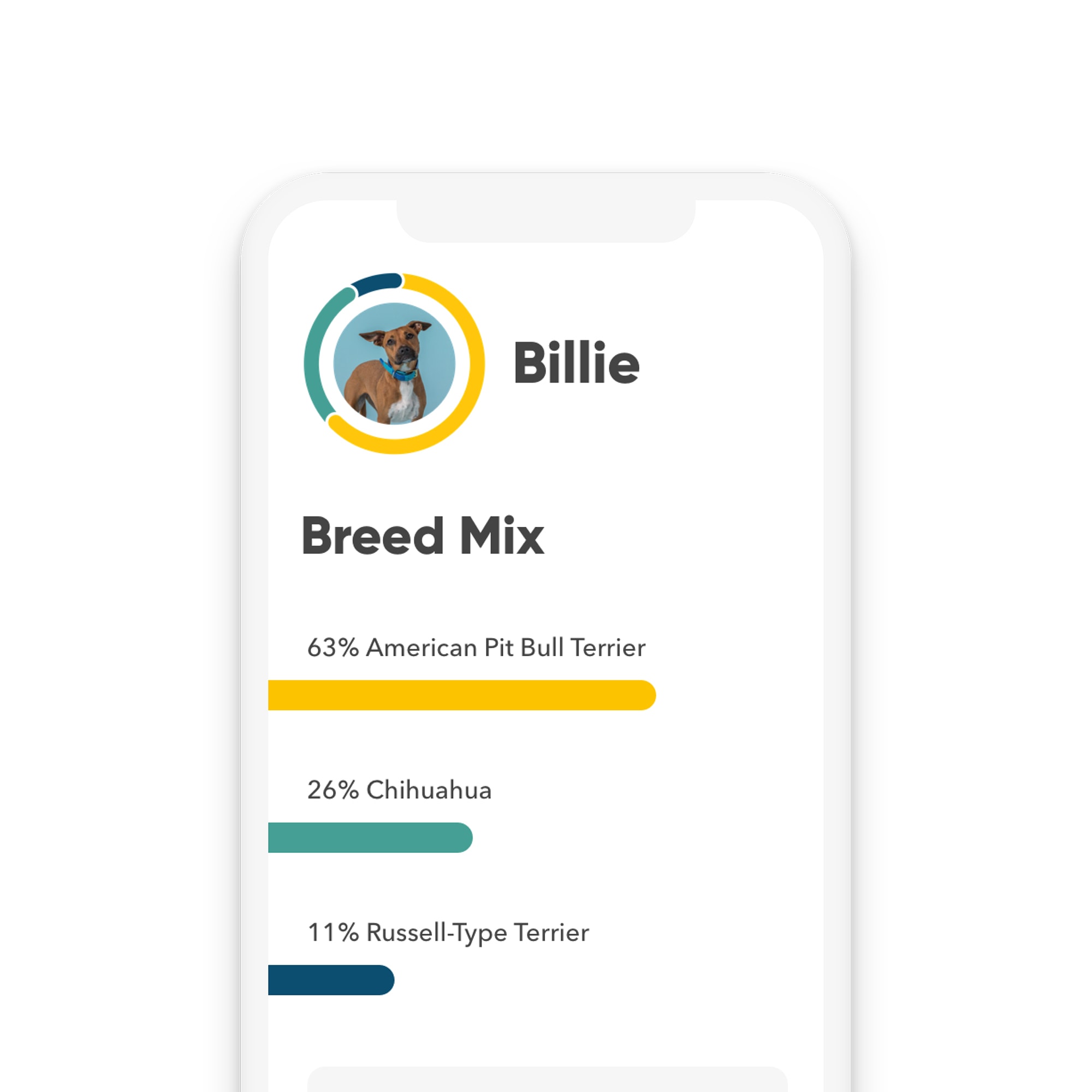 EMBARK Breed Identification & Health Condition Identification DNA