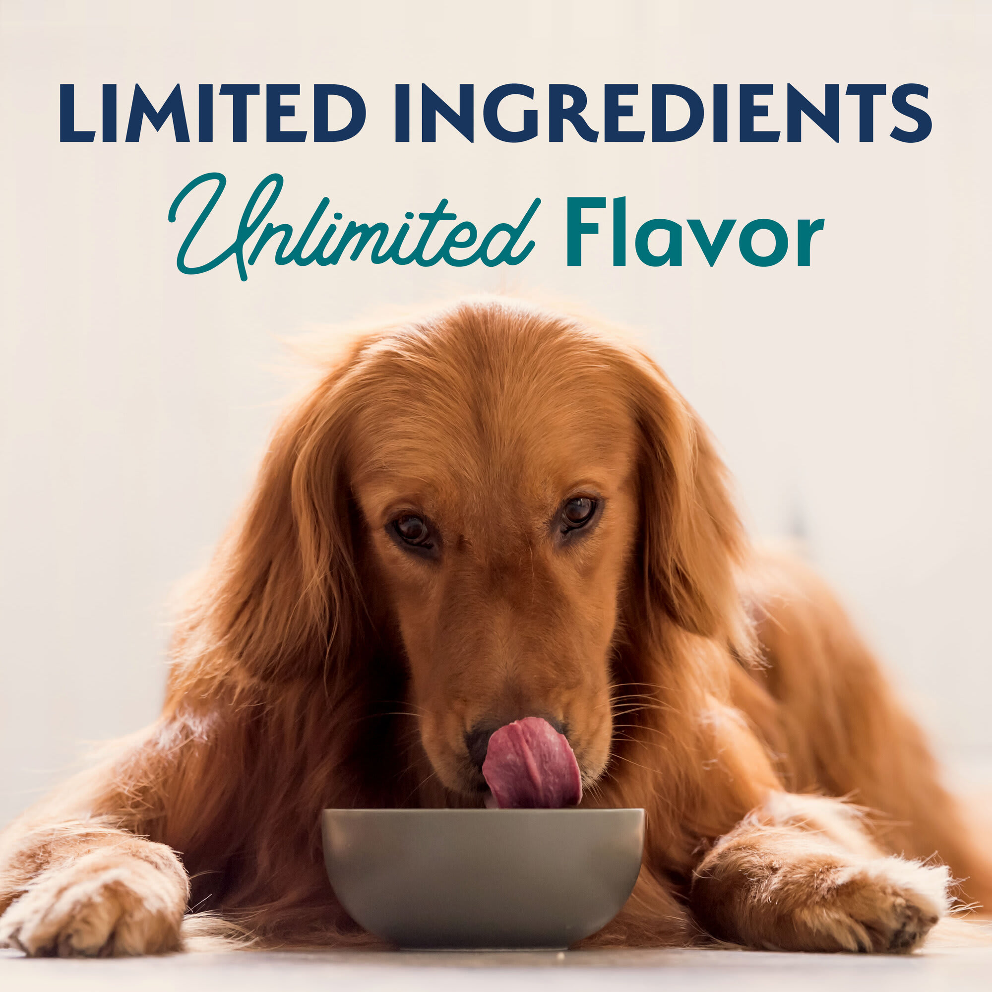 Natural balance dog food petco shop