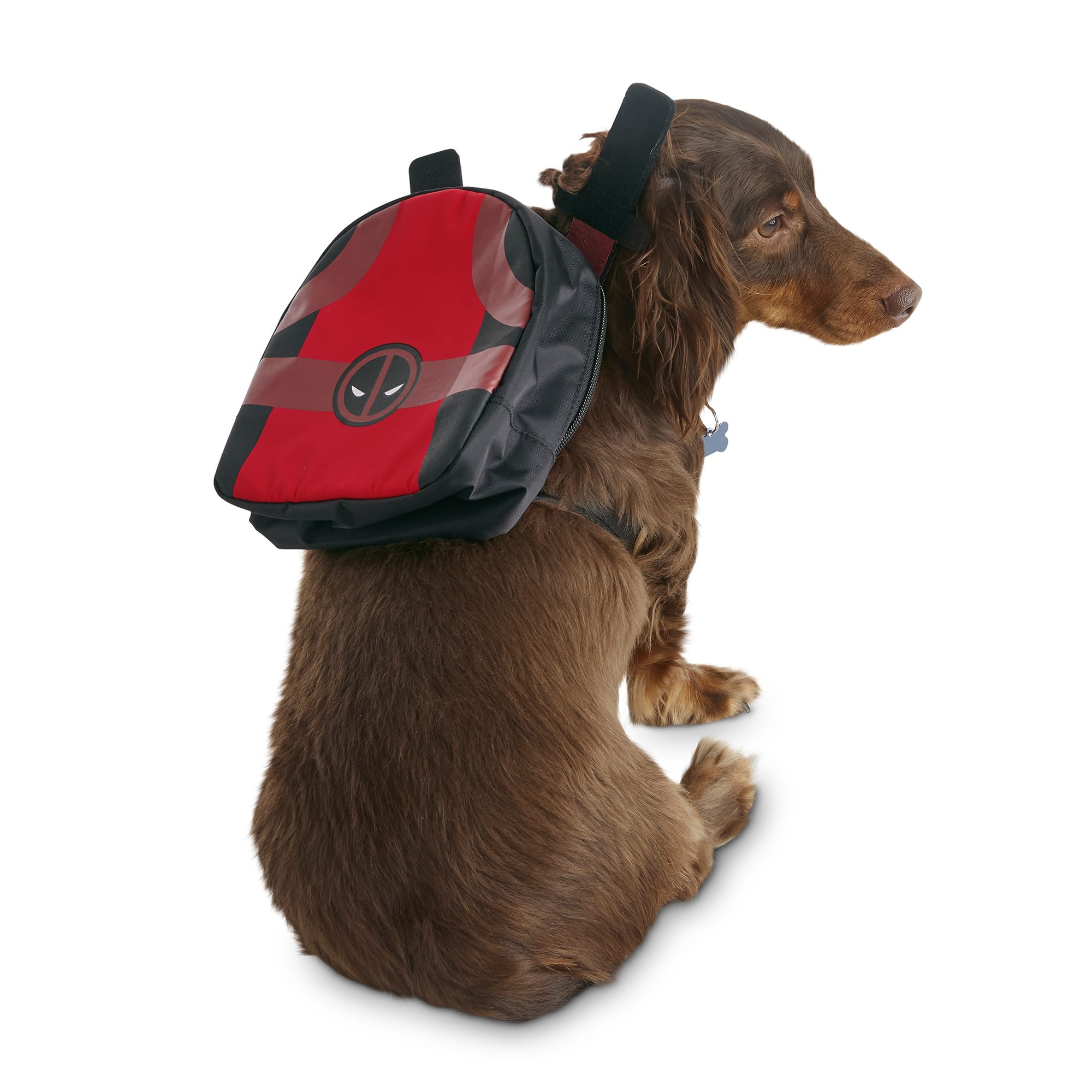 x small dog backpack