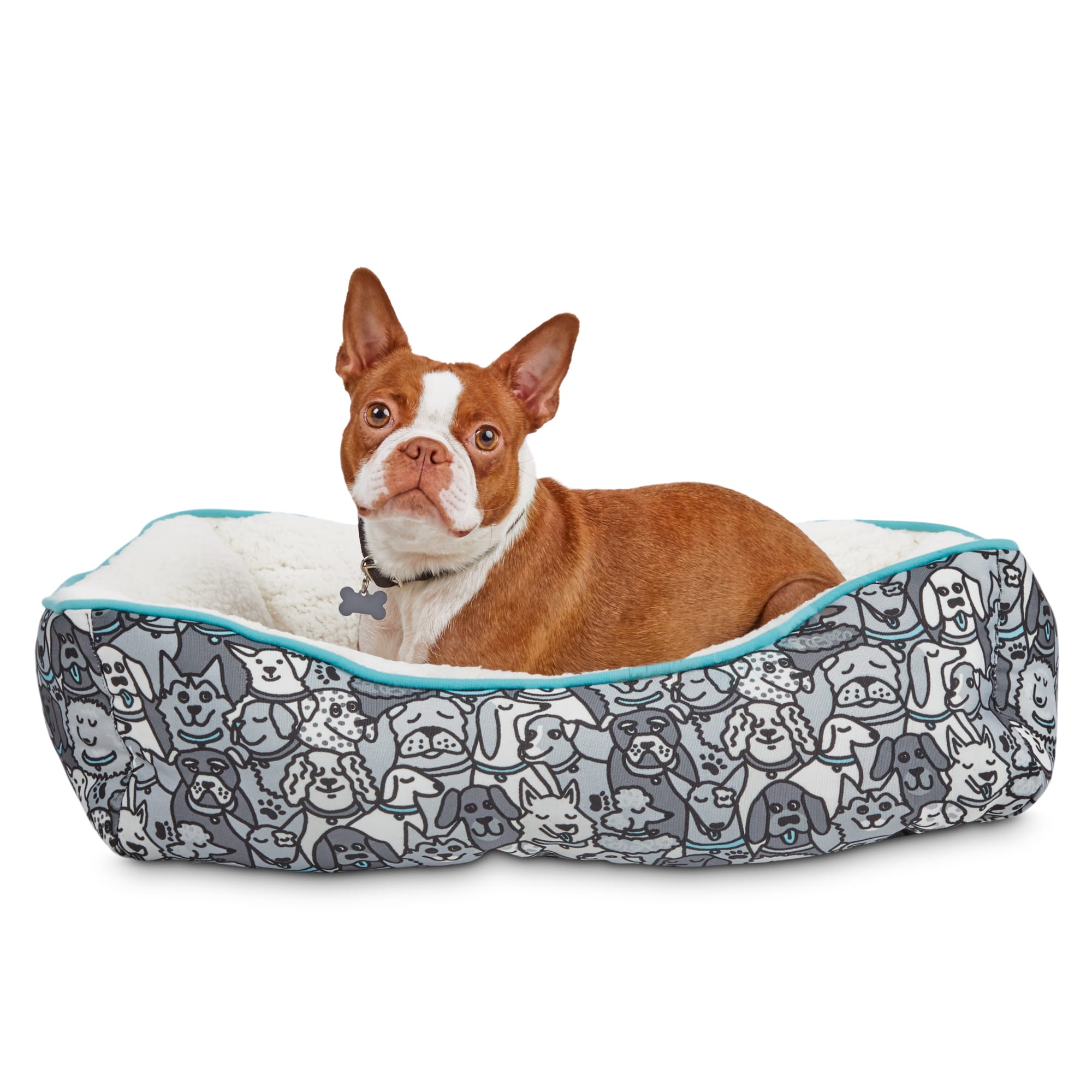 skechers bobs boston terrier