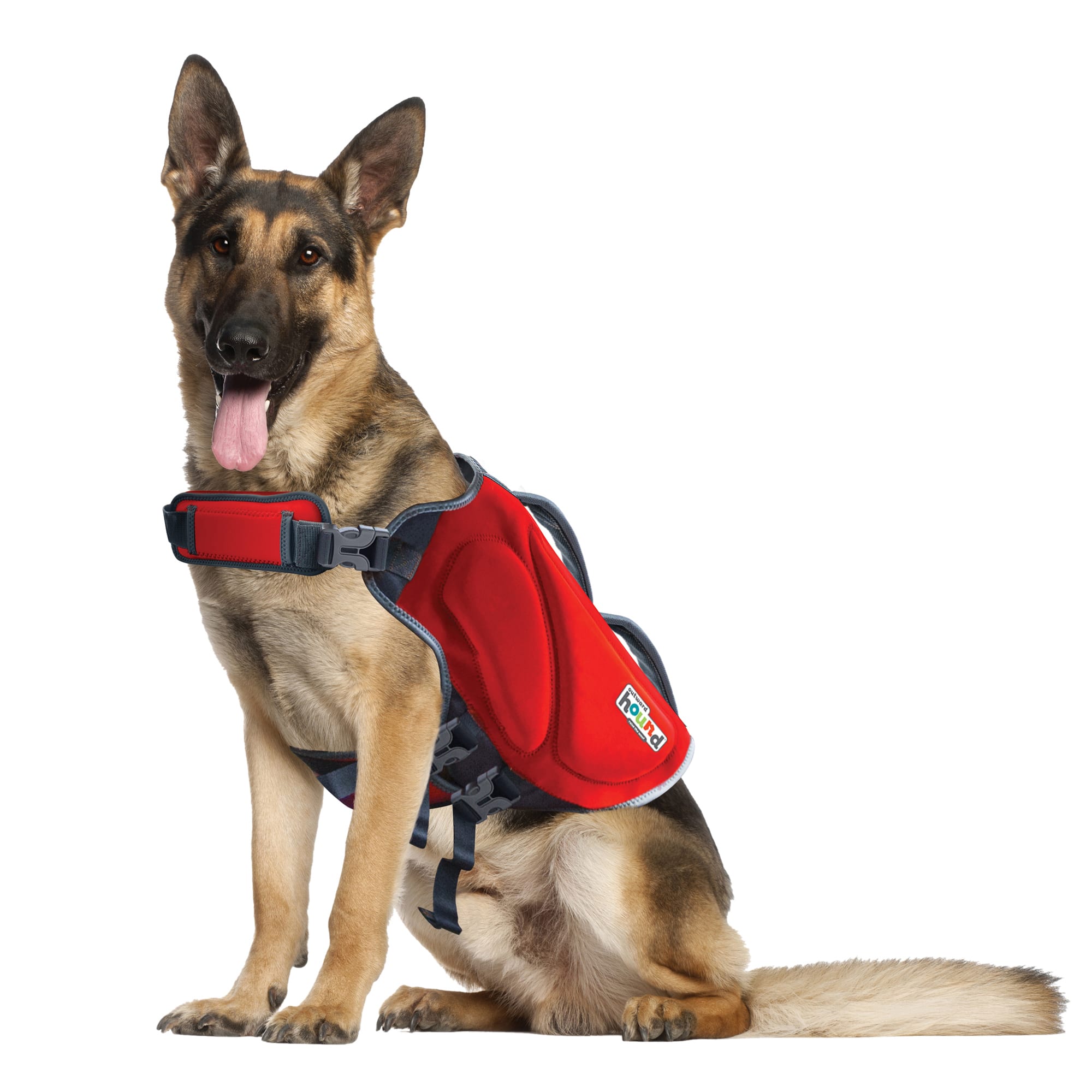 outward hound dawson dog life jacket