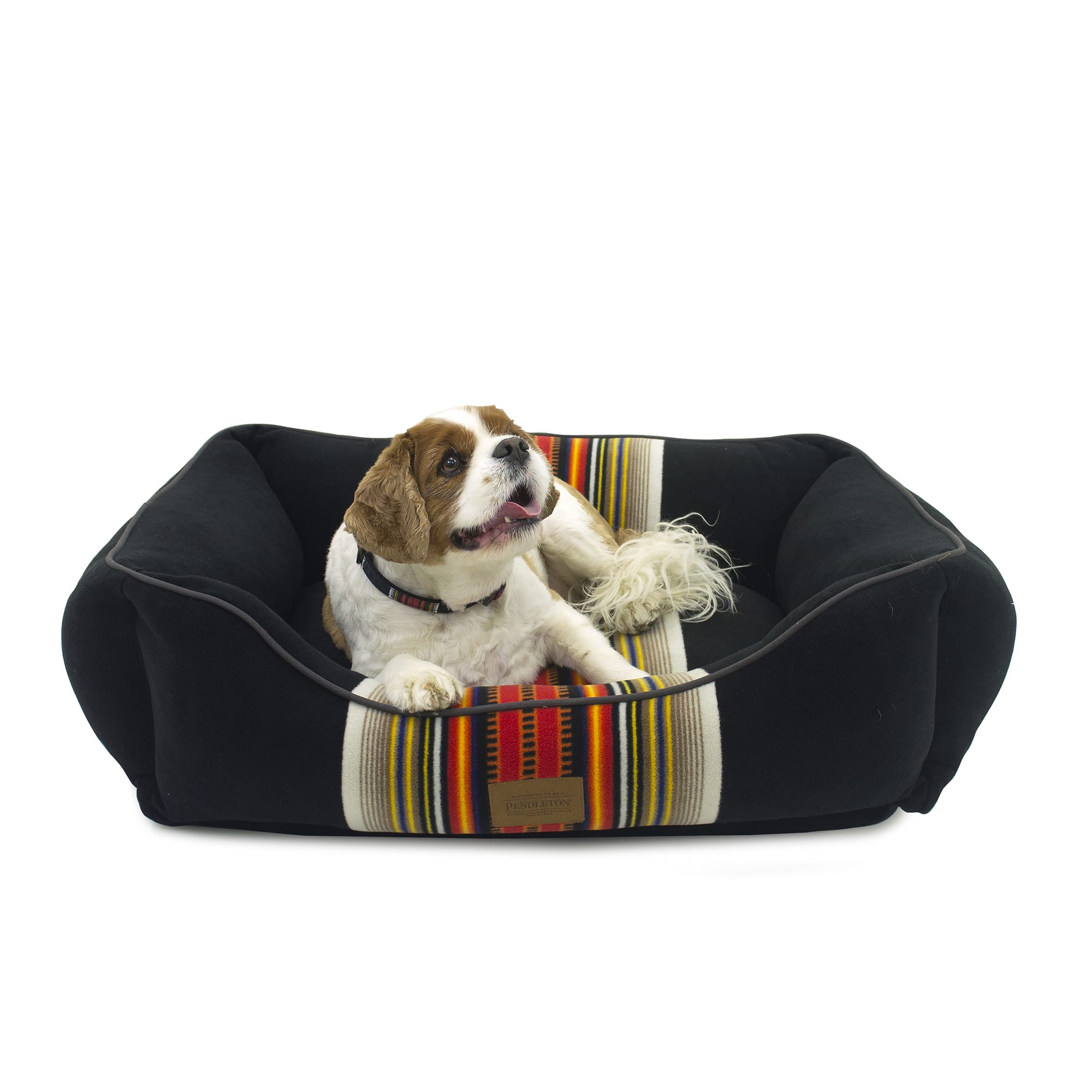 pendleton dog bed