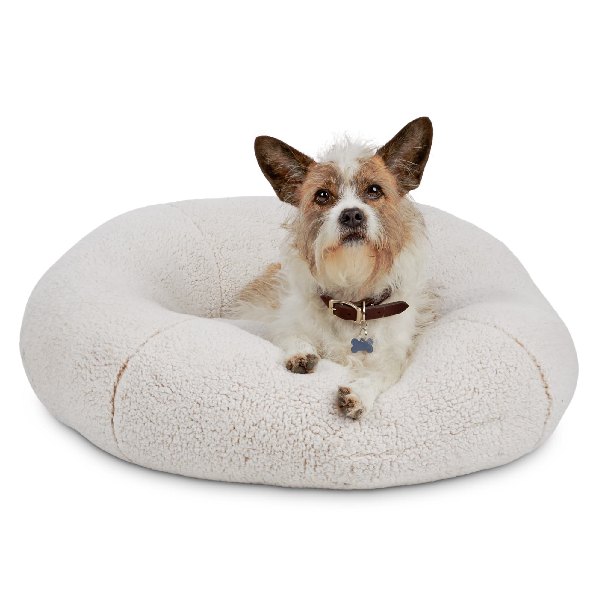 dog snuggle bed