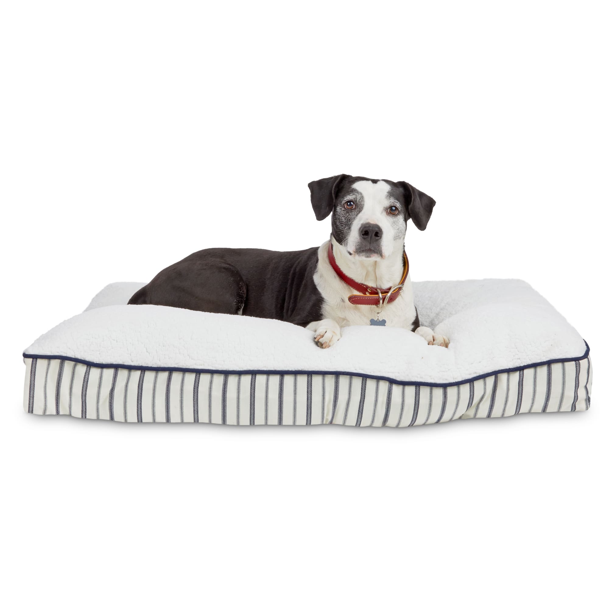 Nautical dog sale bed