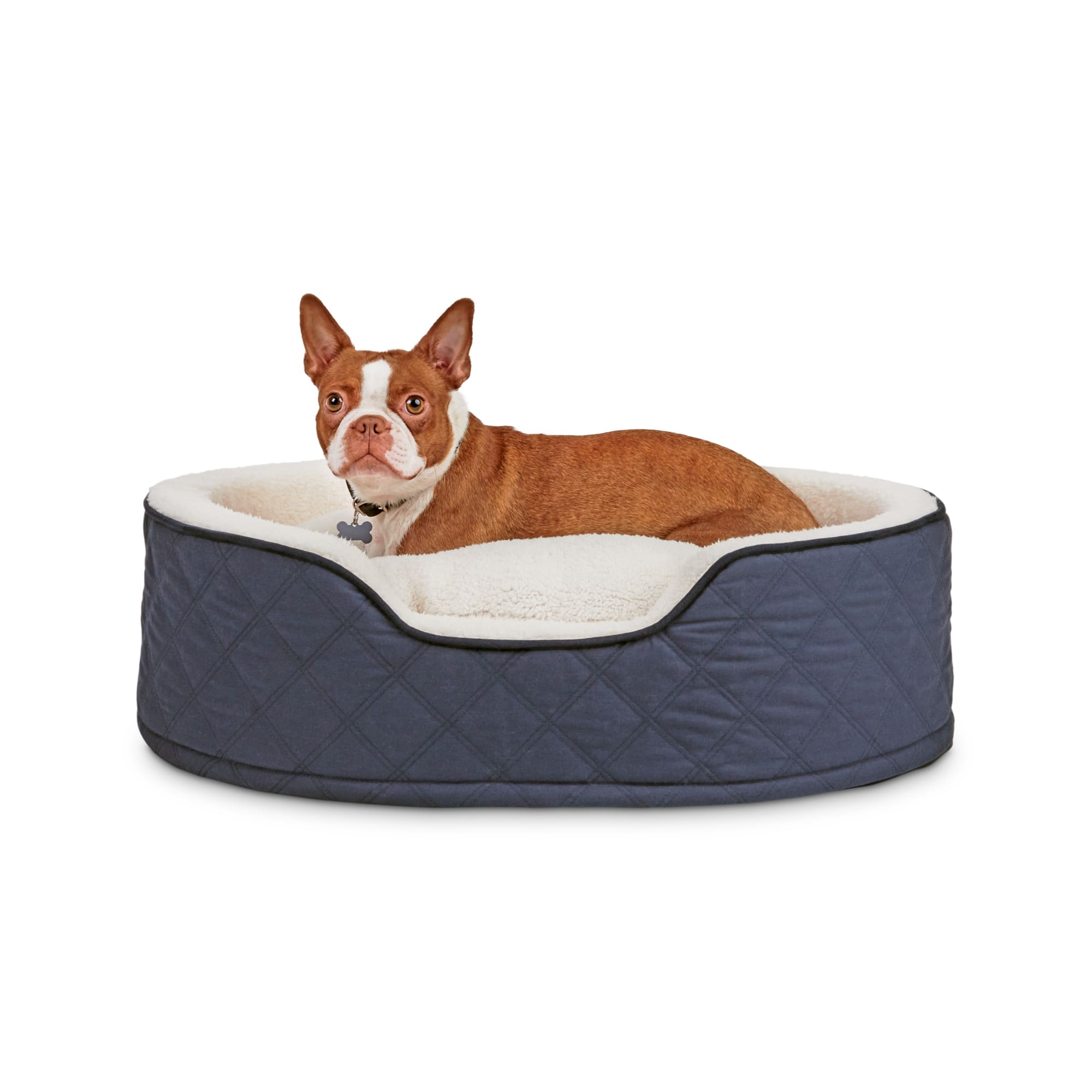 Harmony Blue Cuddler Orthopedic Dog Bed 28 L X 20 W Petco