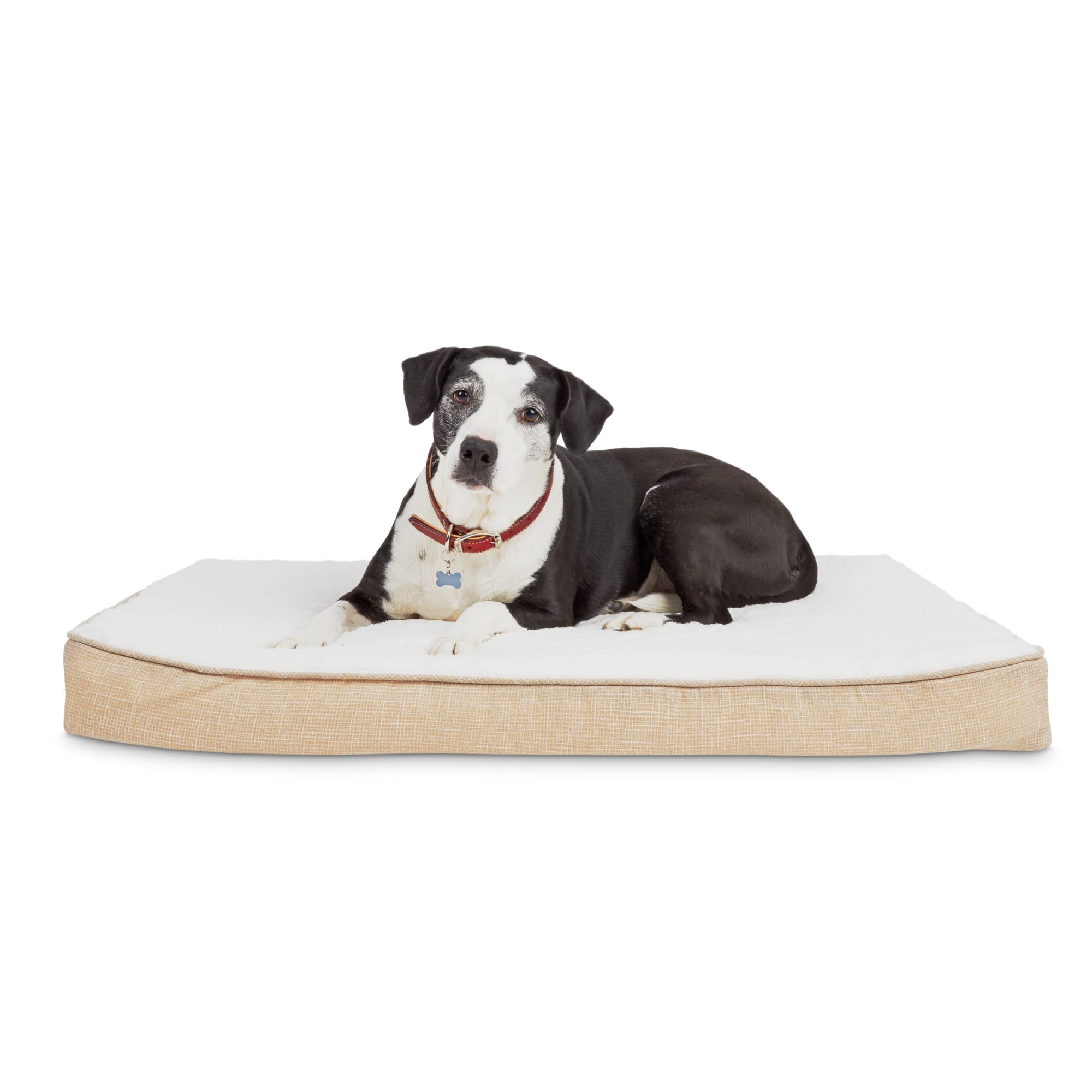 orthopedic dog bed
