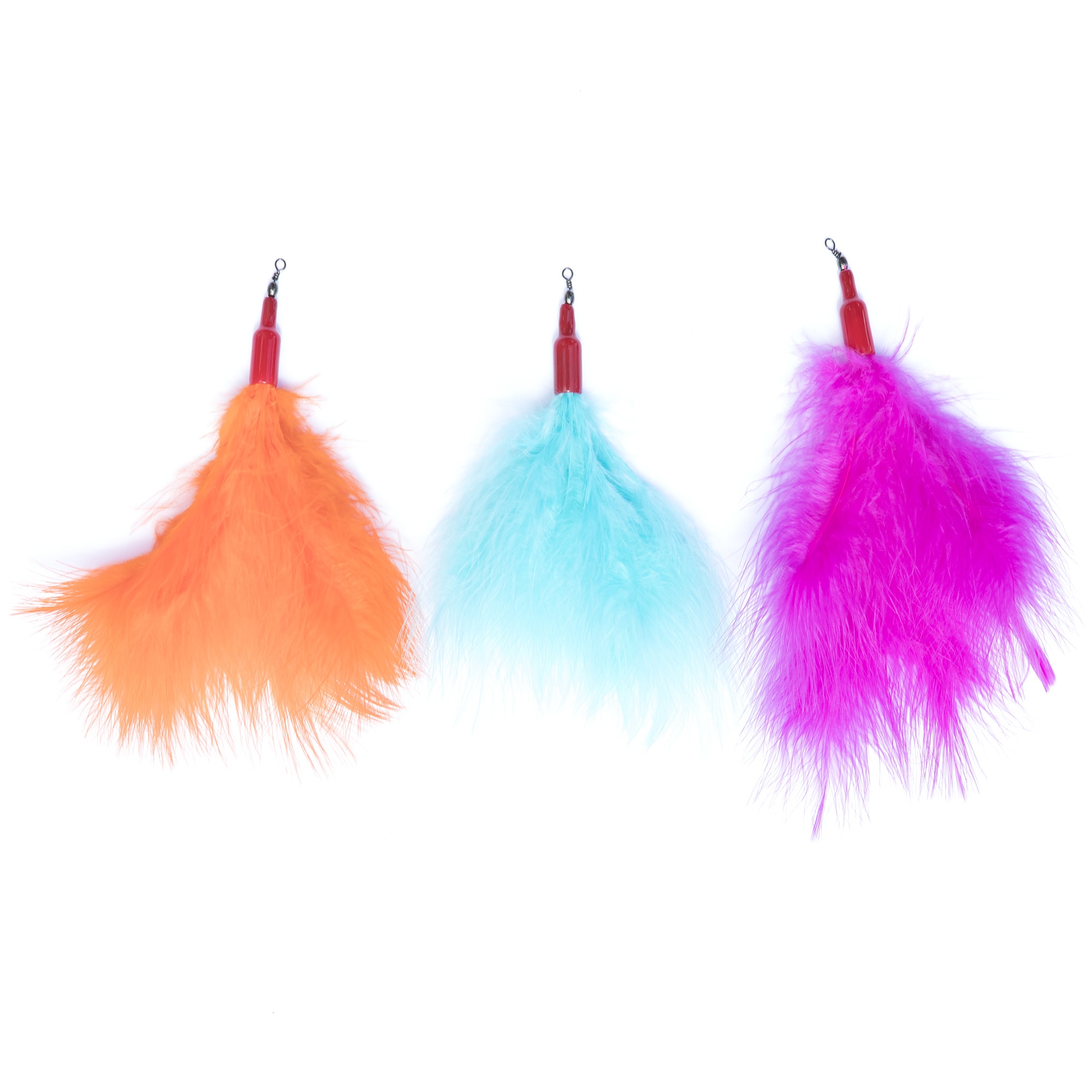 kitty a go go cat grooming