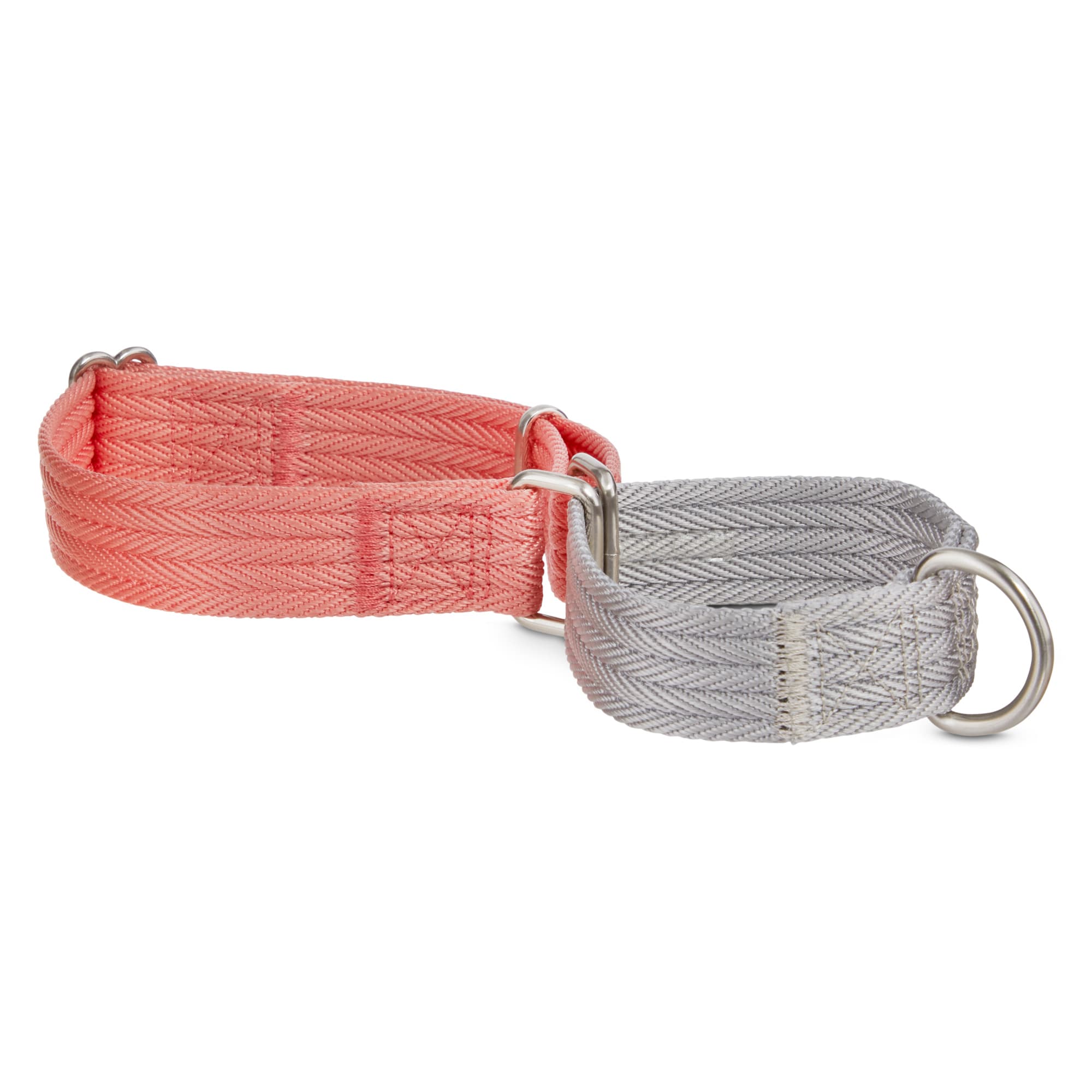 martingale dog collar petco