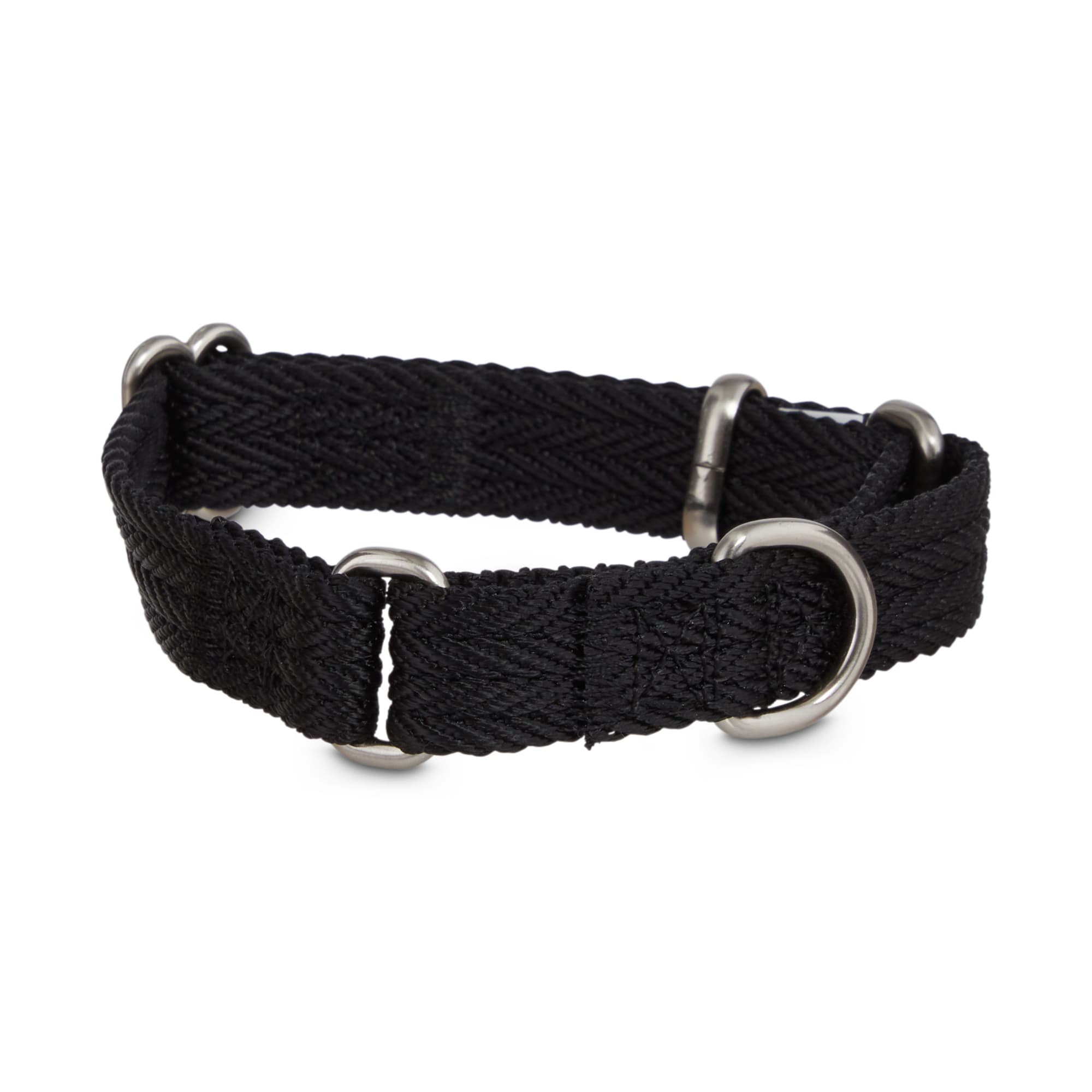 Good2Go Black Martingale Dog Collar, X 