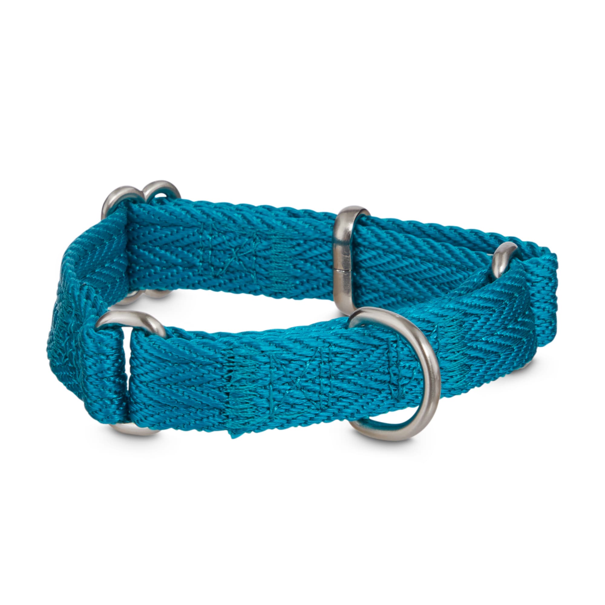 blue dog collar and leash