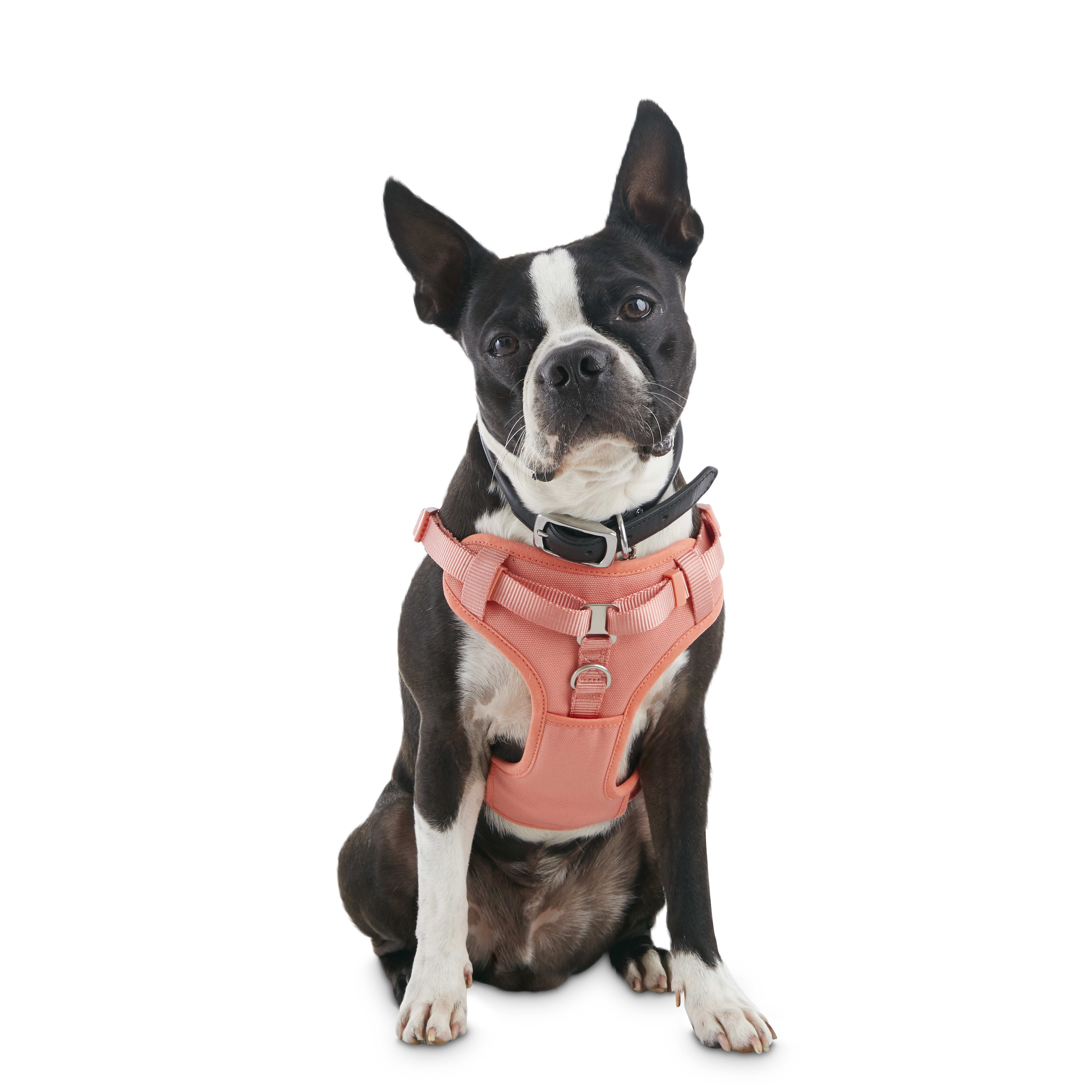 escape proof dog harness petco