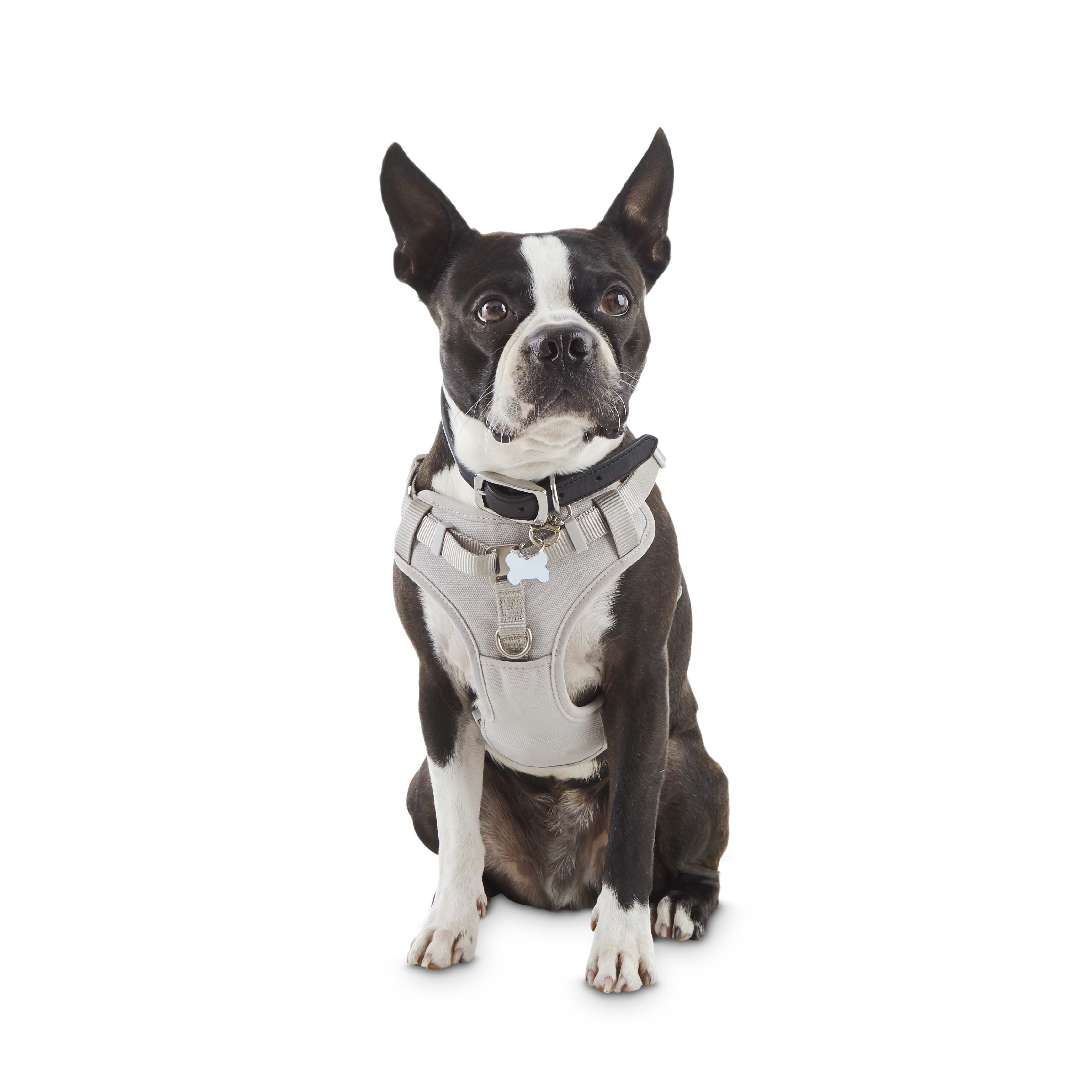 one step dog harness