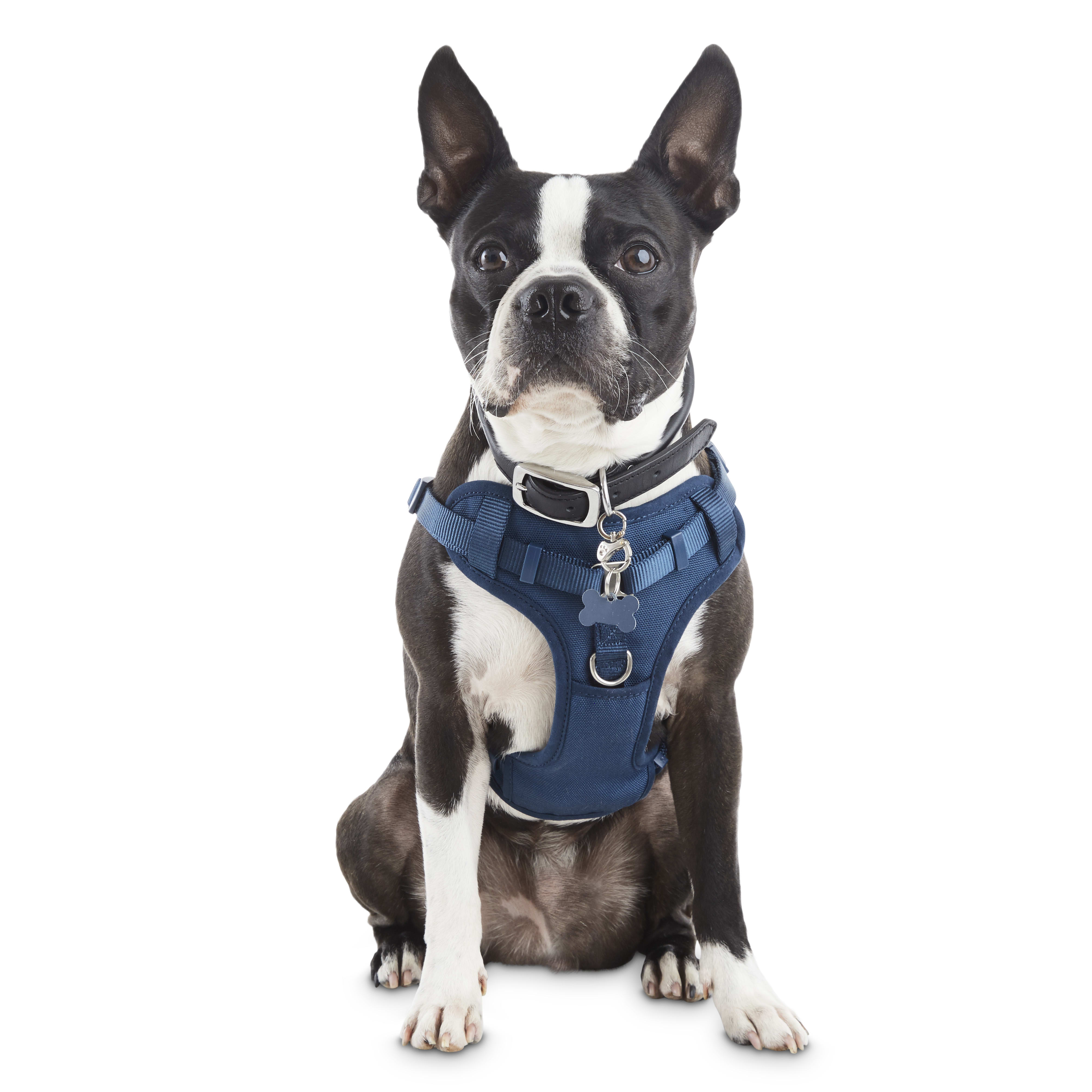 Good2Go Navy Padded Step-In Dog Harness 