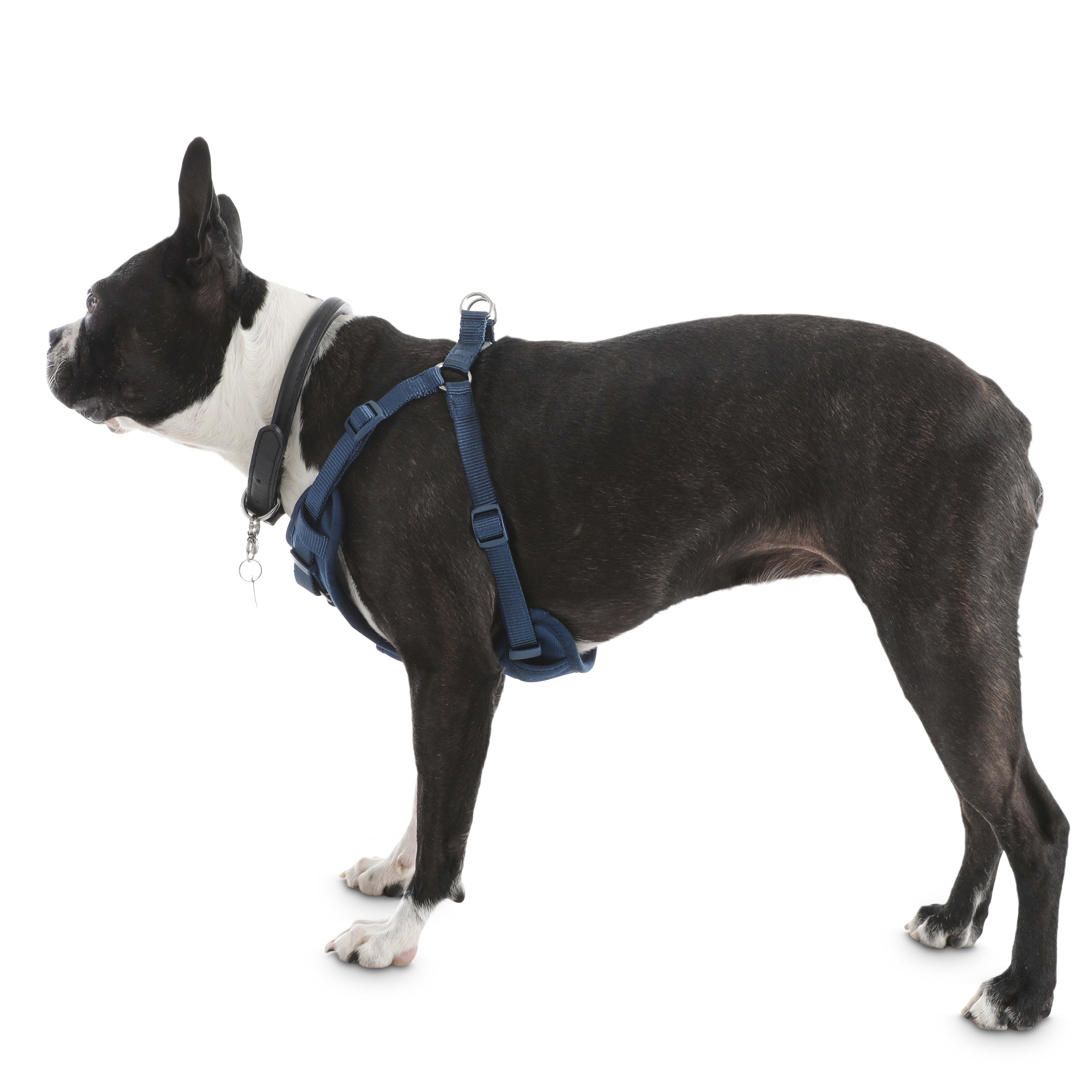 Padded step outlet in dog harness