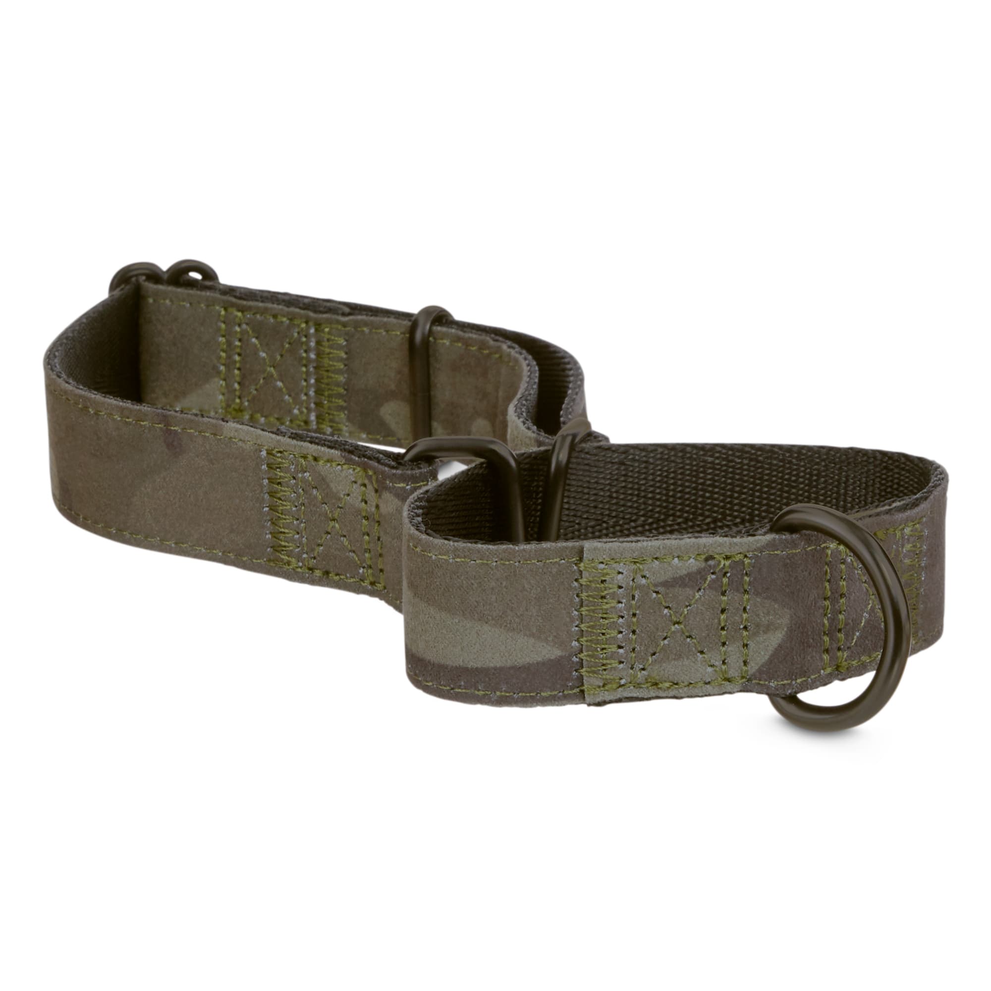 martingale dog collar petco