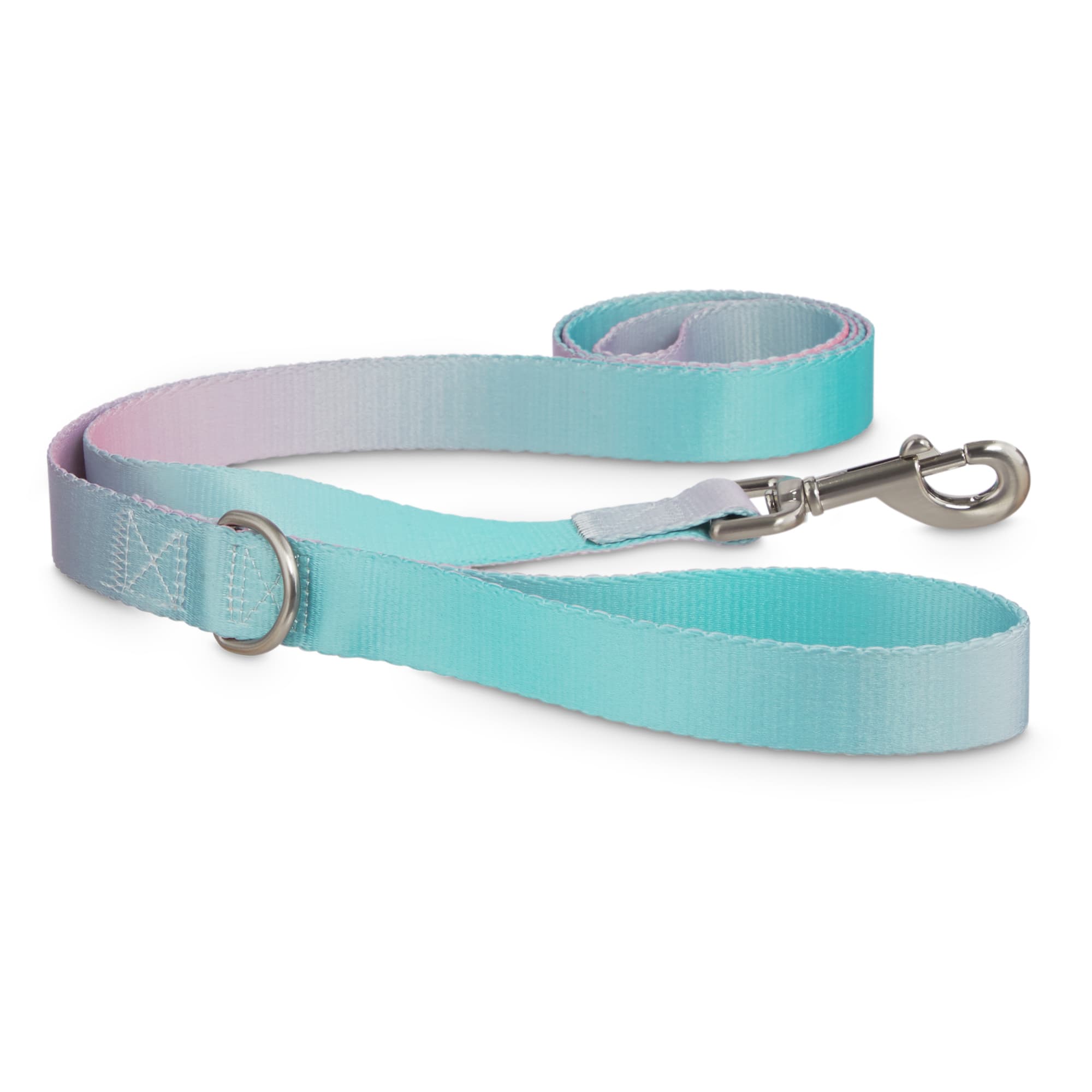 teal dog collar and leash