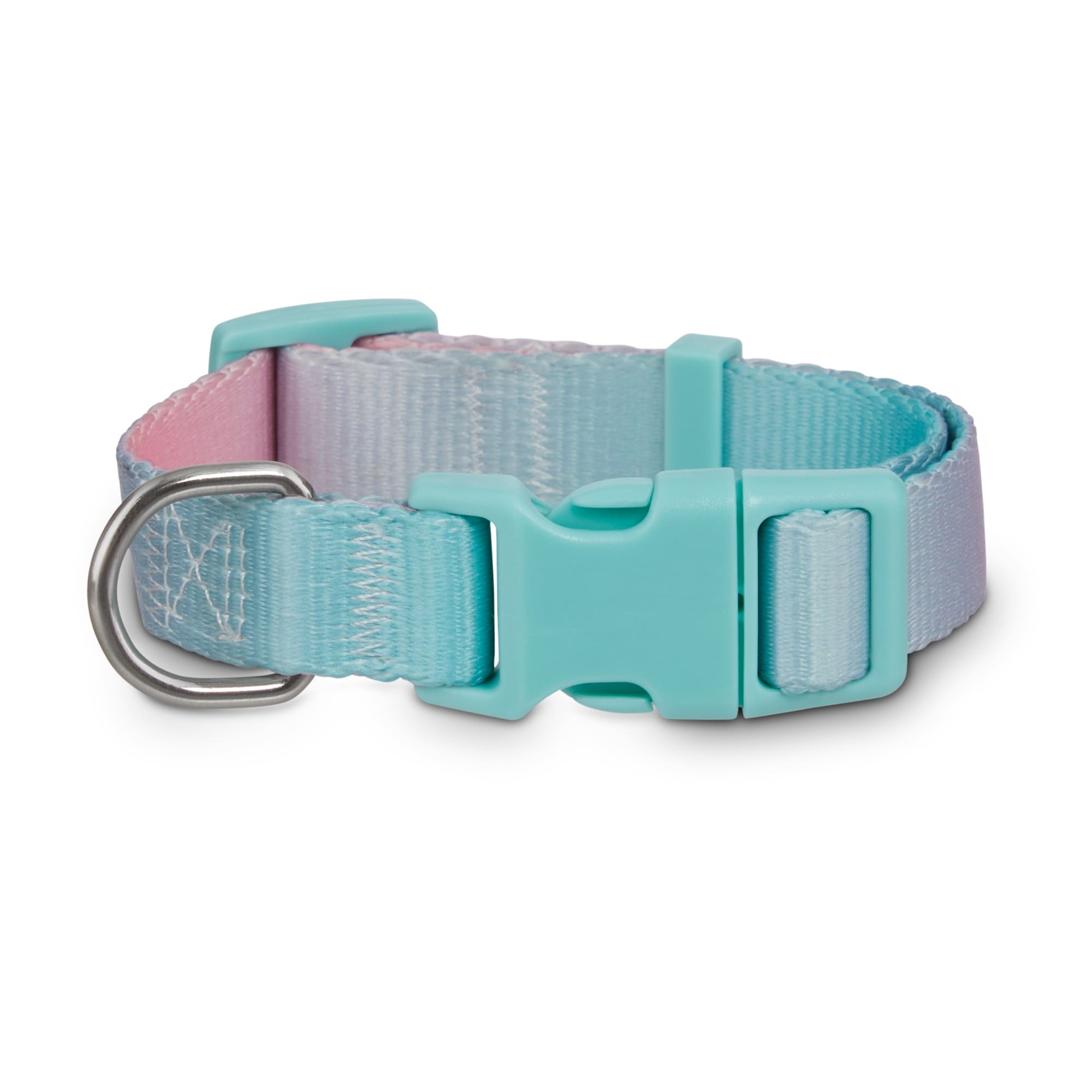 teal dog collar