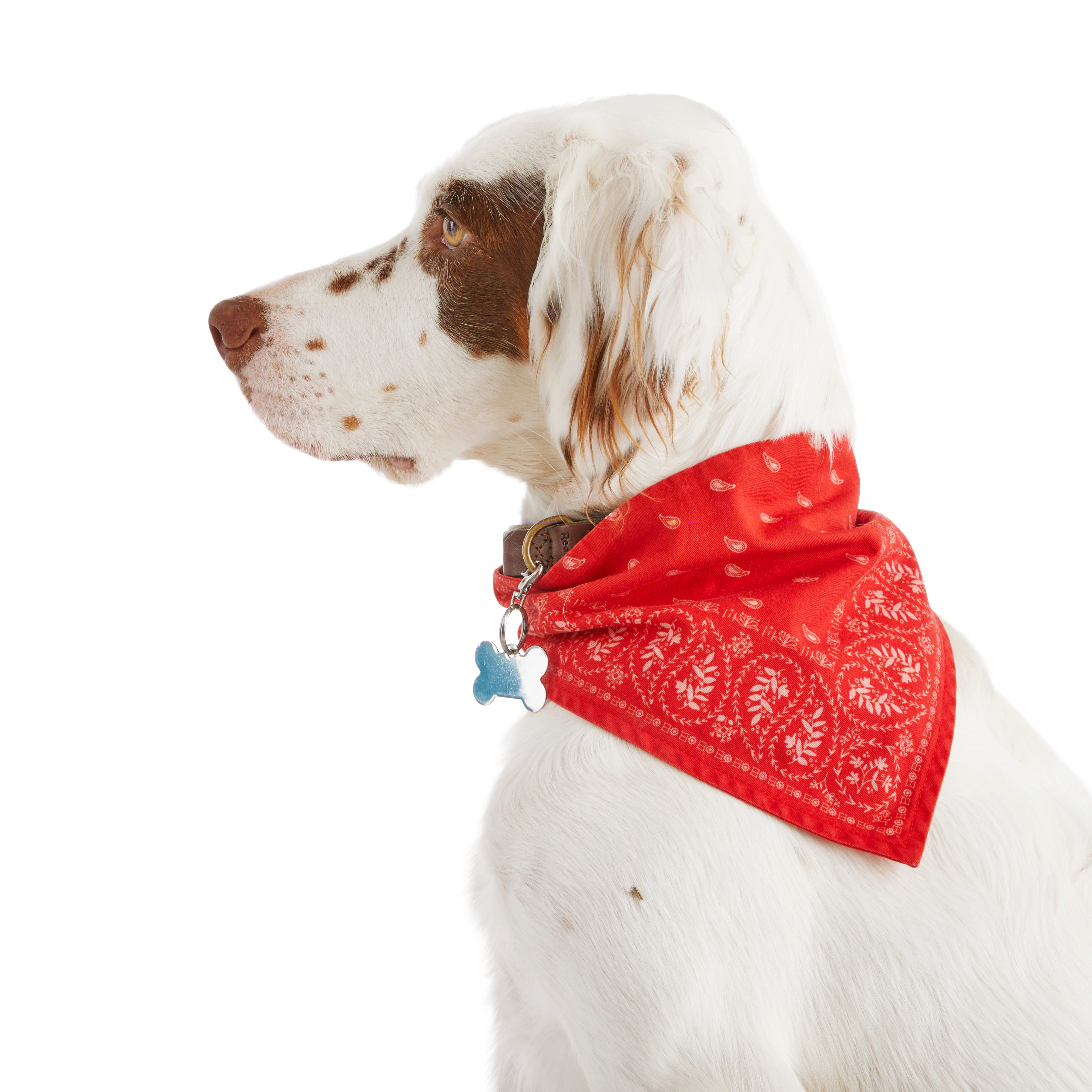 promotional dog bandanas