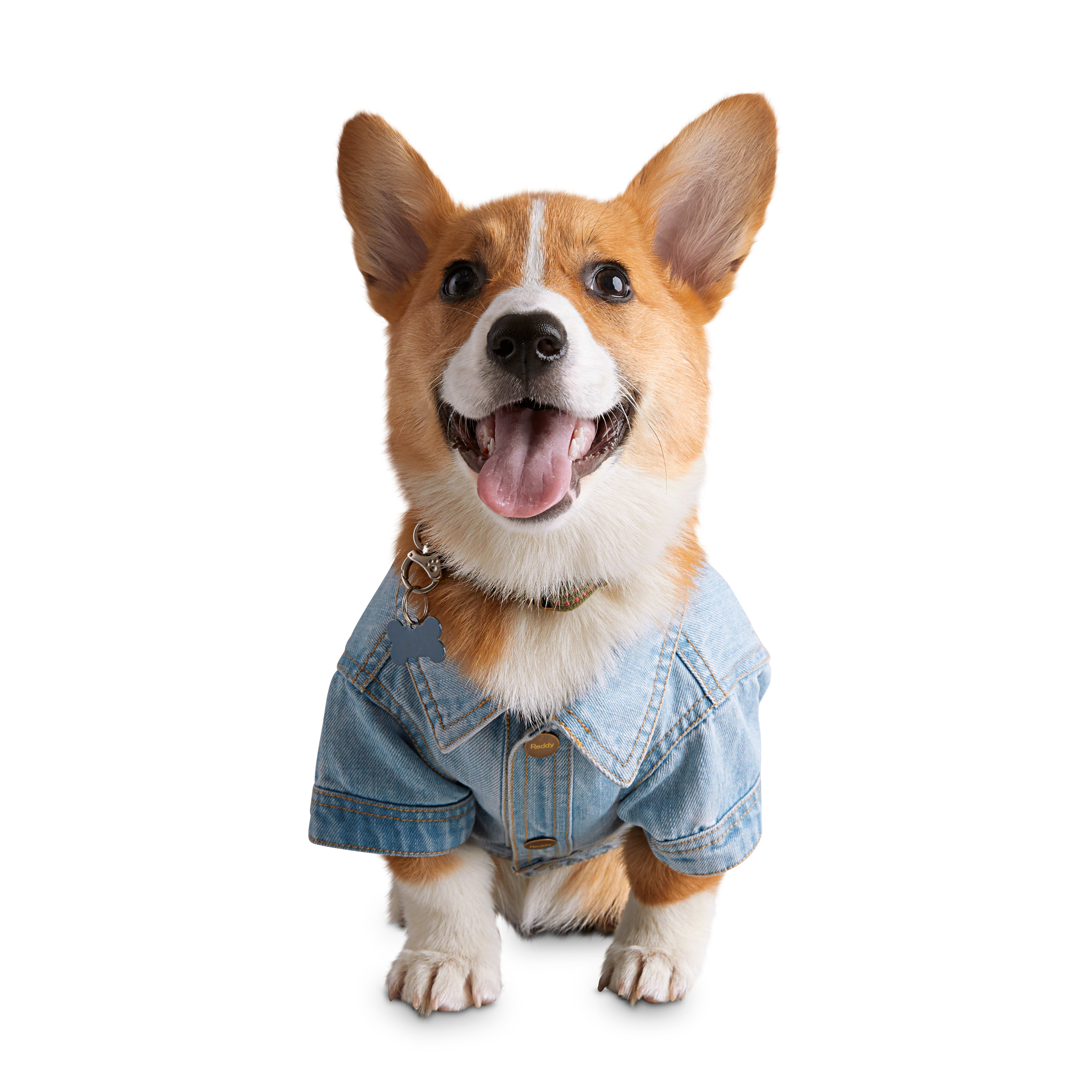 jean jacket for small dogs