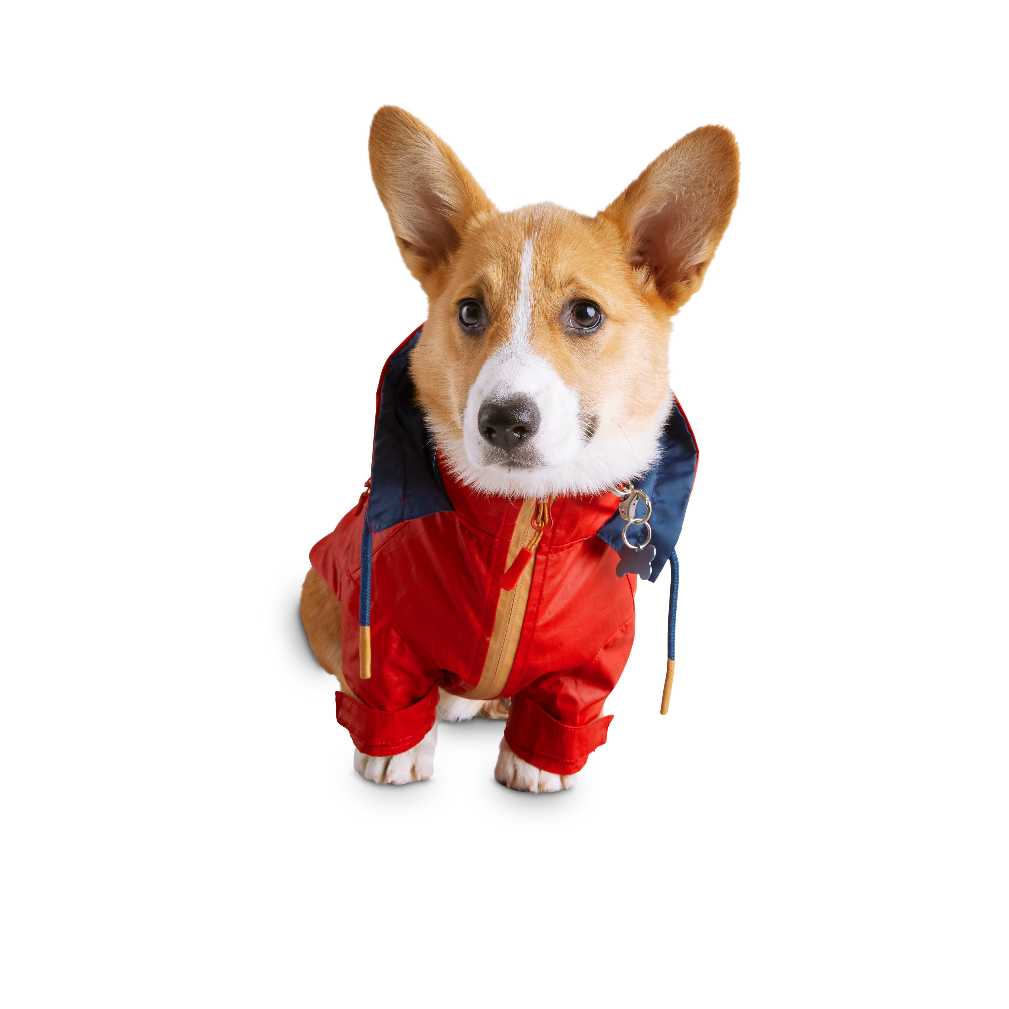 Reddy Red Coated-Canvas Dog Raincoat, X 