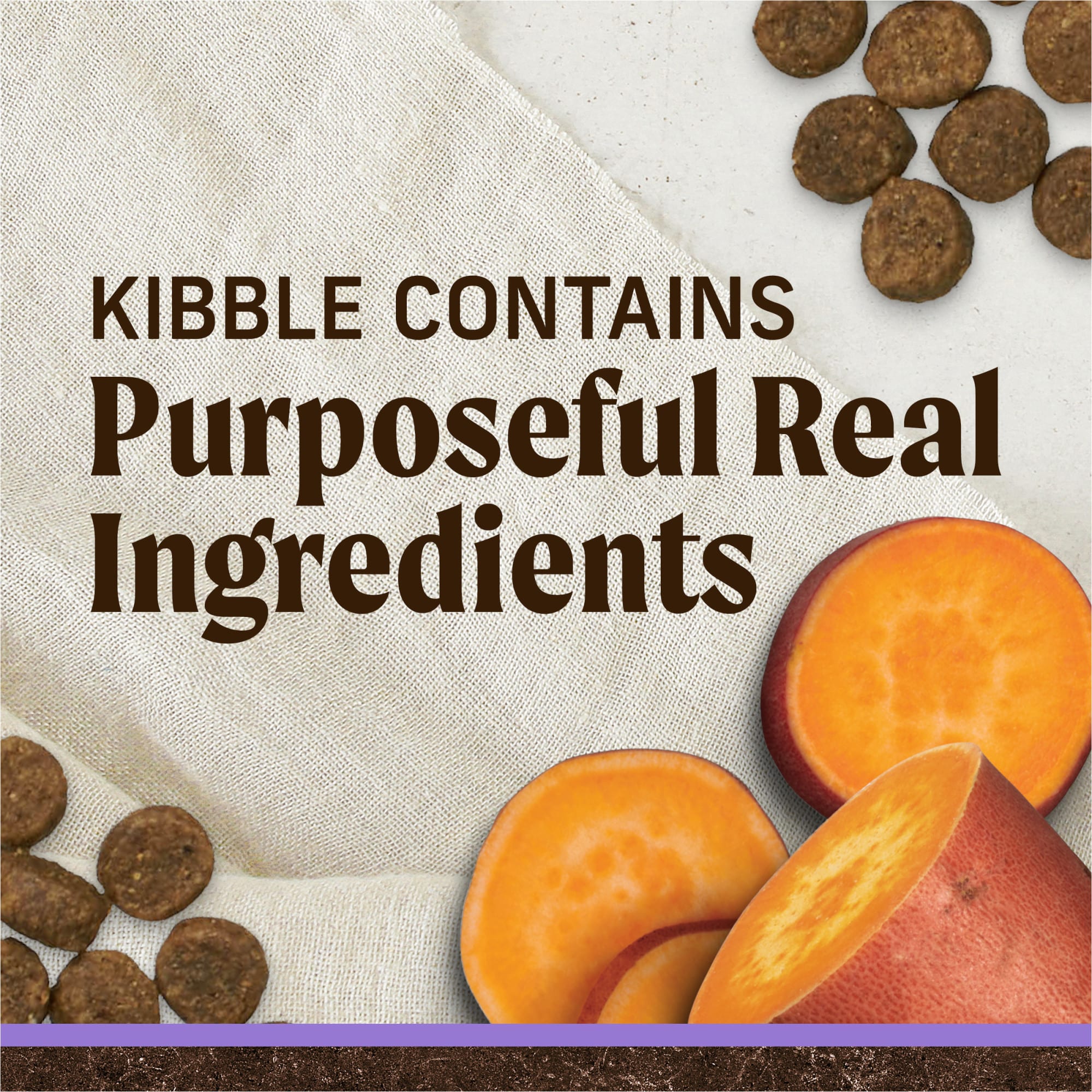 merrick puppy beef and sweet potato