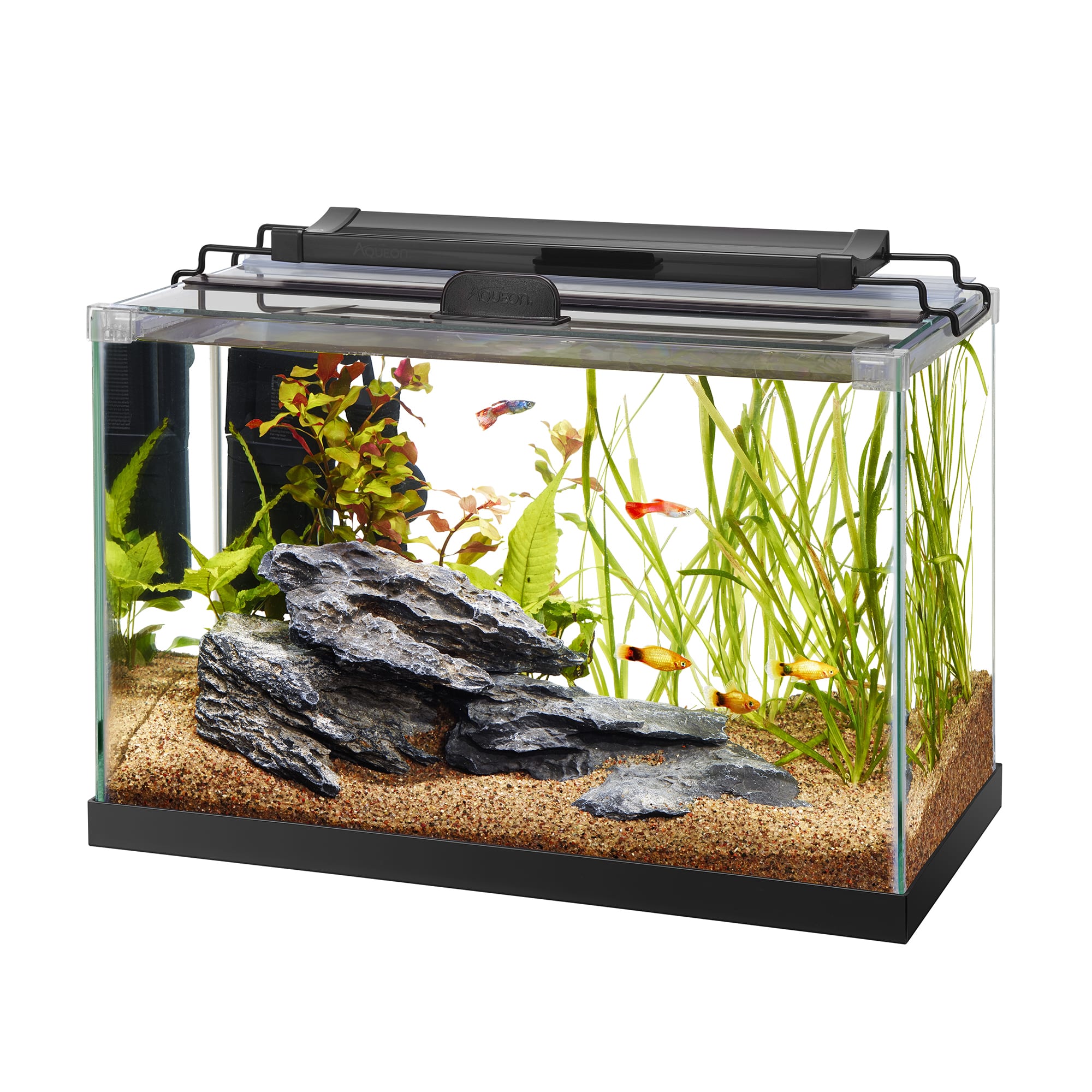 AQUARIUM FISH TANK 2.5 & 5 GALLON BY BCONNECTED / GLASS TANK WITH