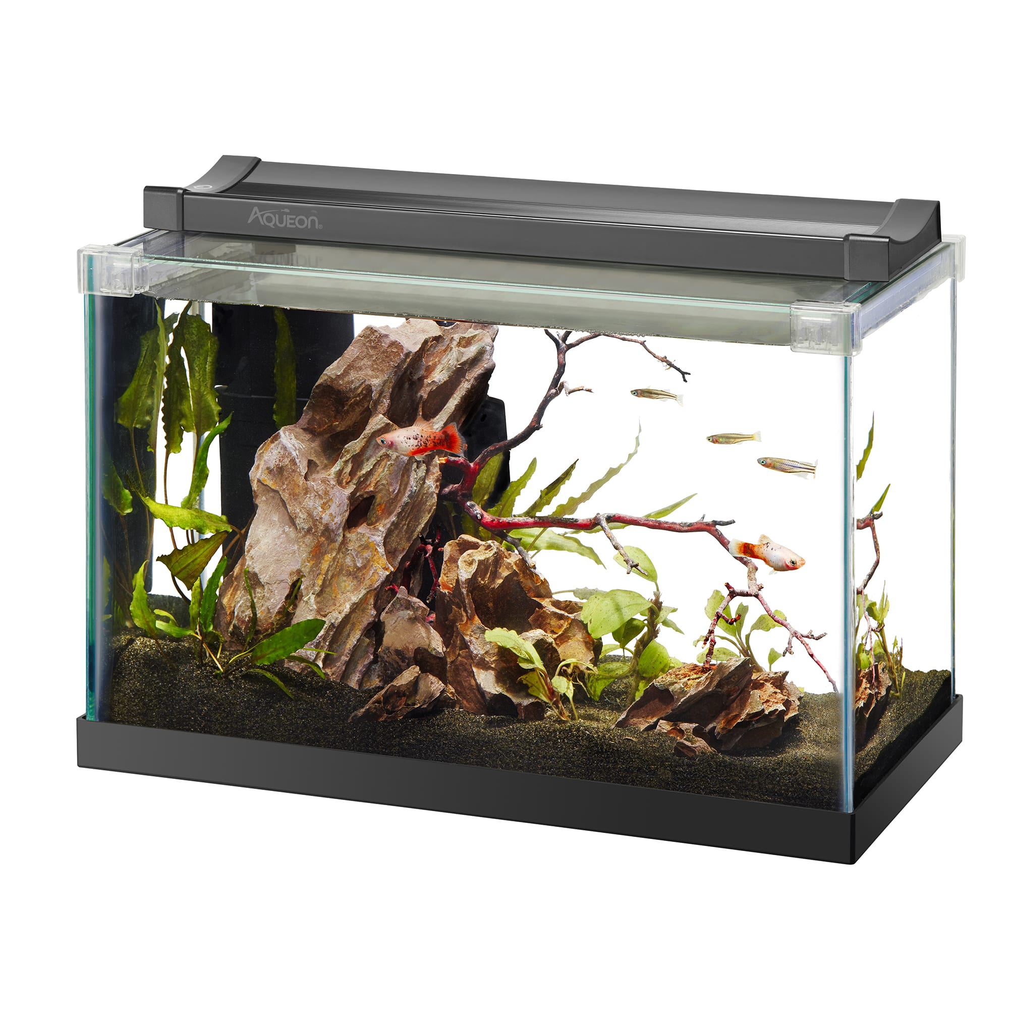 Petco fish deals tank sale