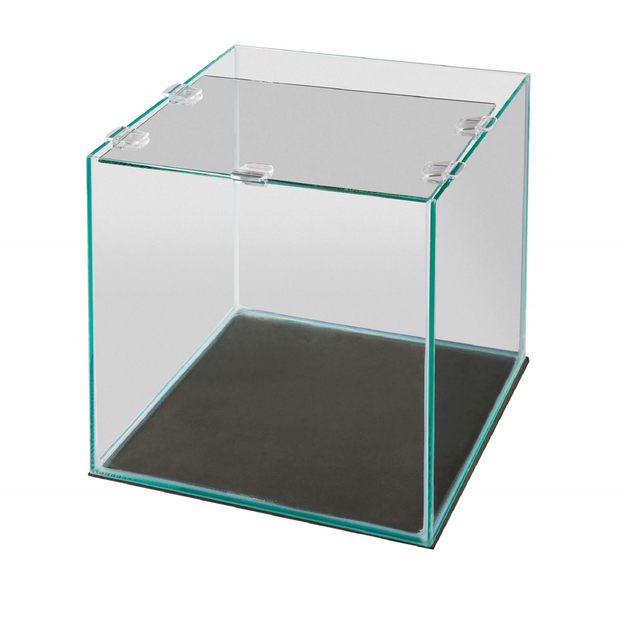 Petco store rimless tank