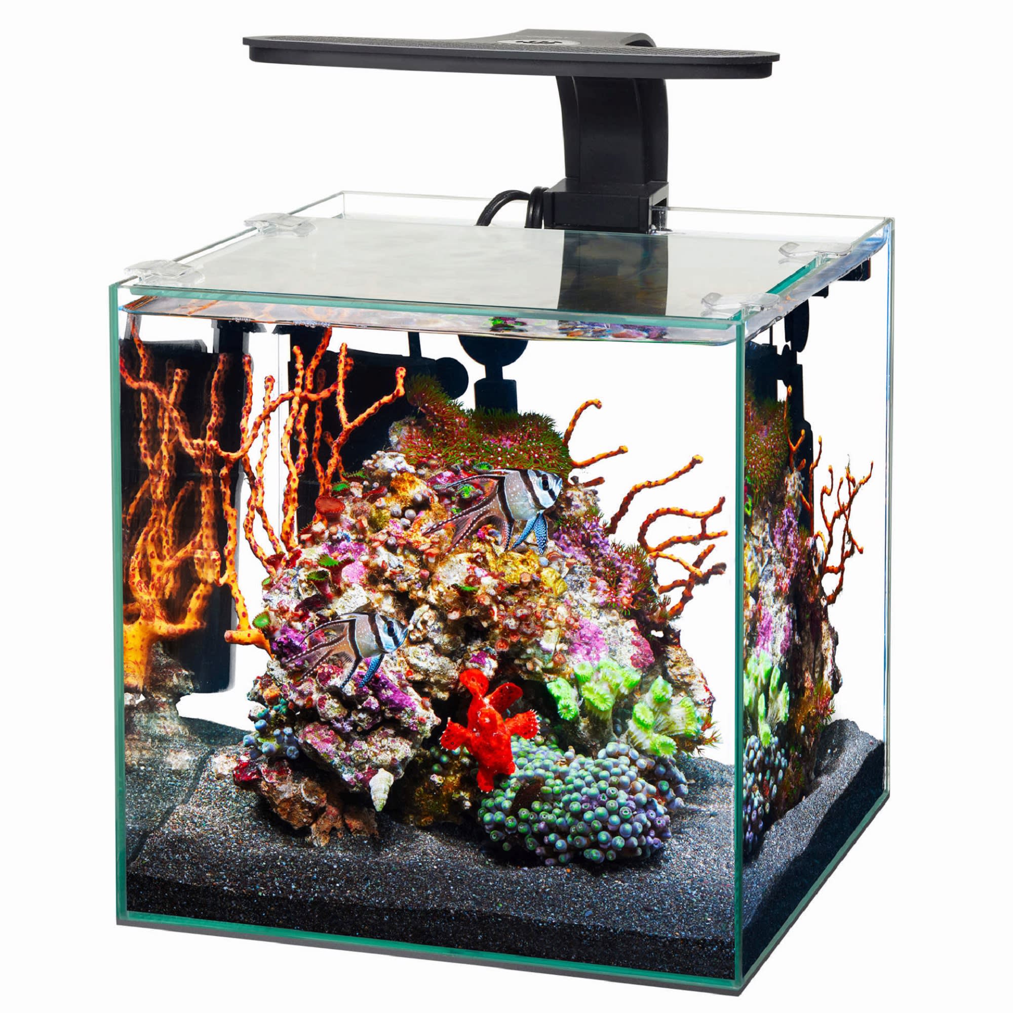 aqueon-3-gallon-frameless-cube-aquarium-with-glass-top-mat