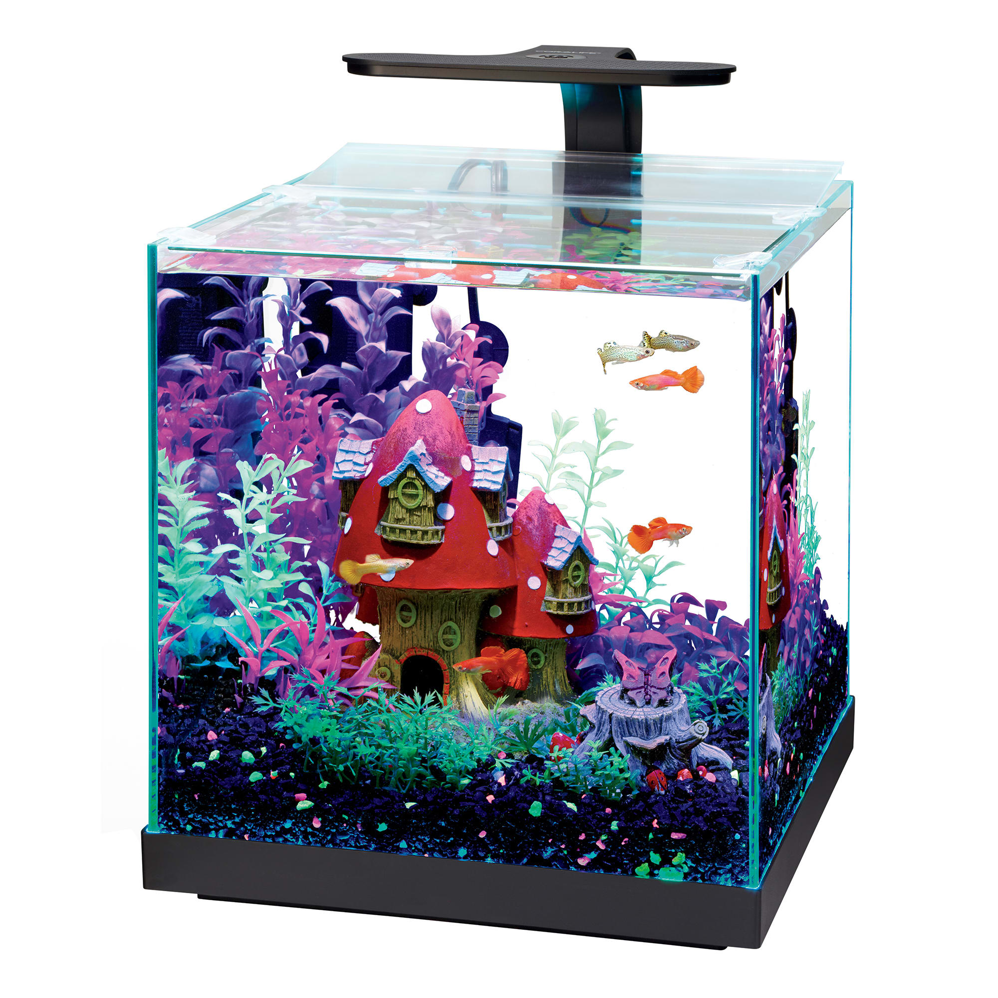 Edgelit Rimless Cube Glass Aquarium