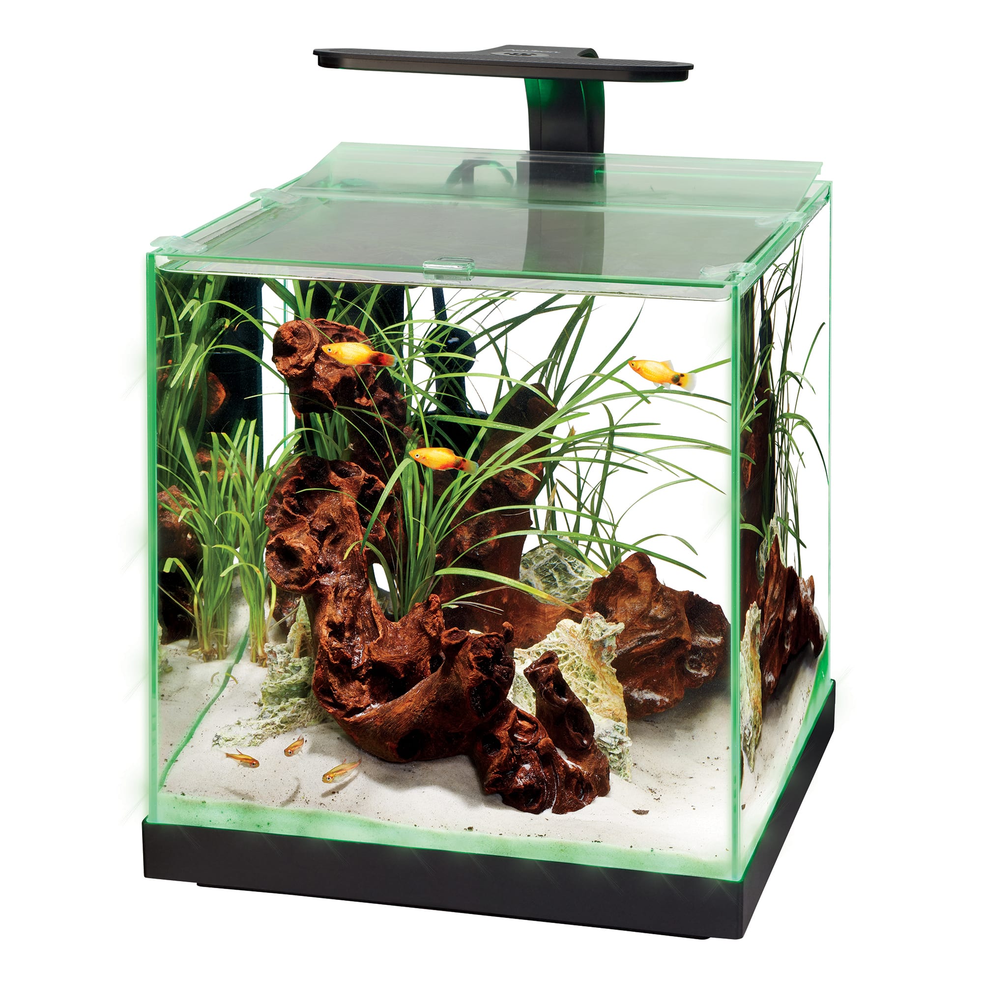 Aqueon Frameless Cube Aquarium Bundle