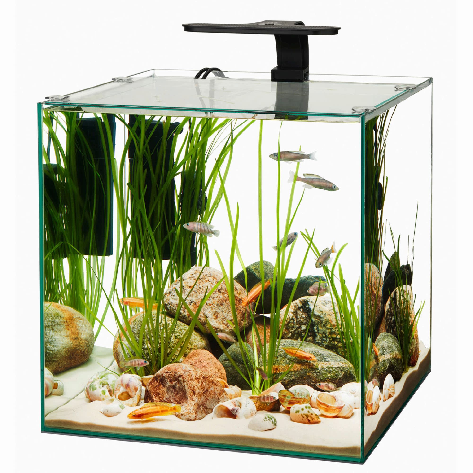 Petco small fish store tanks