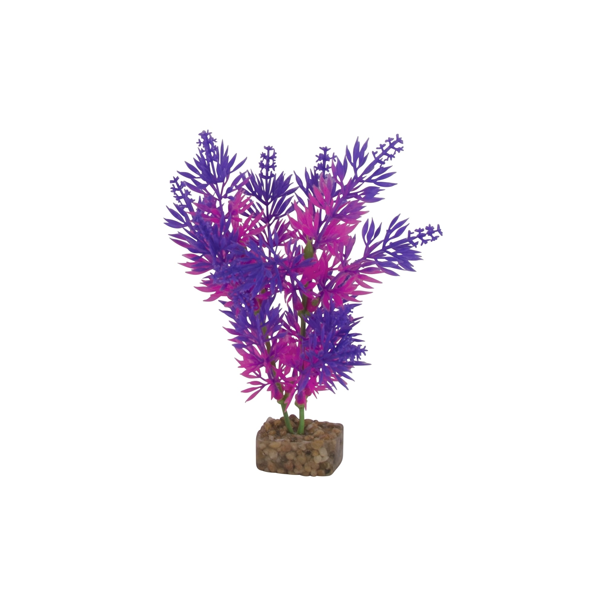 GloFish Purple And Pink Plant Fluorescent Under Blue LED Light Aquarium