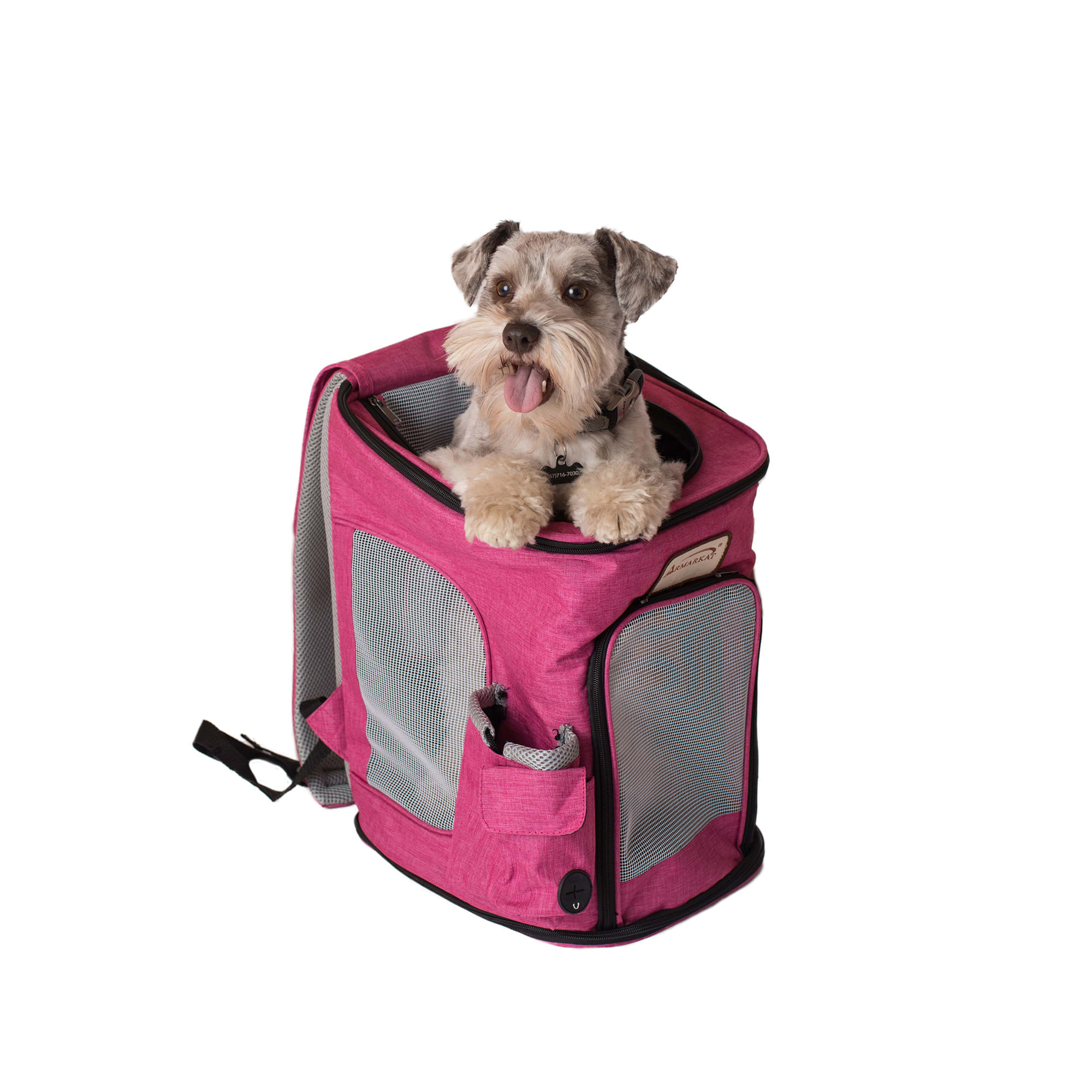 Pawfect discount pets carrier