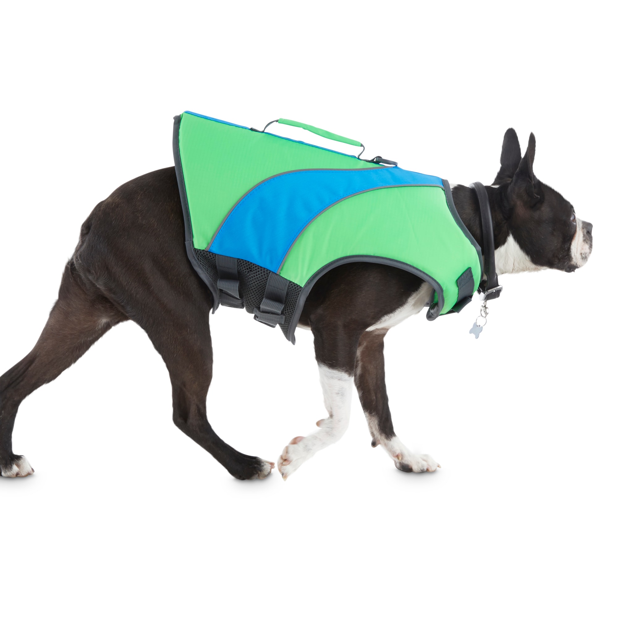 Petco dog best sale flotation vest