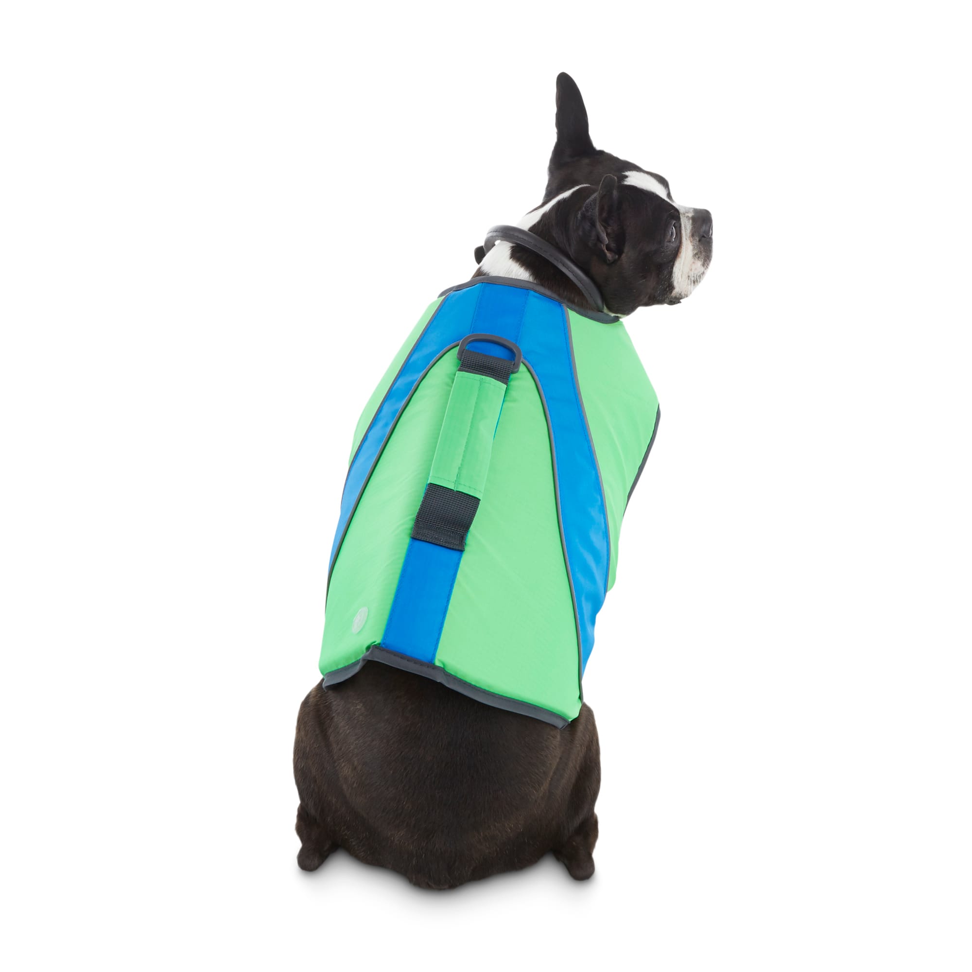 YOULY The Beach Bum Green & Blue Dog Flotation Vest, XX-Small | Petco