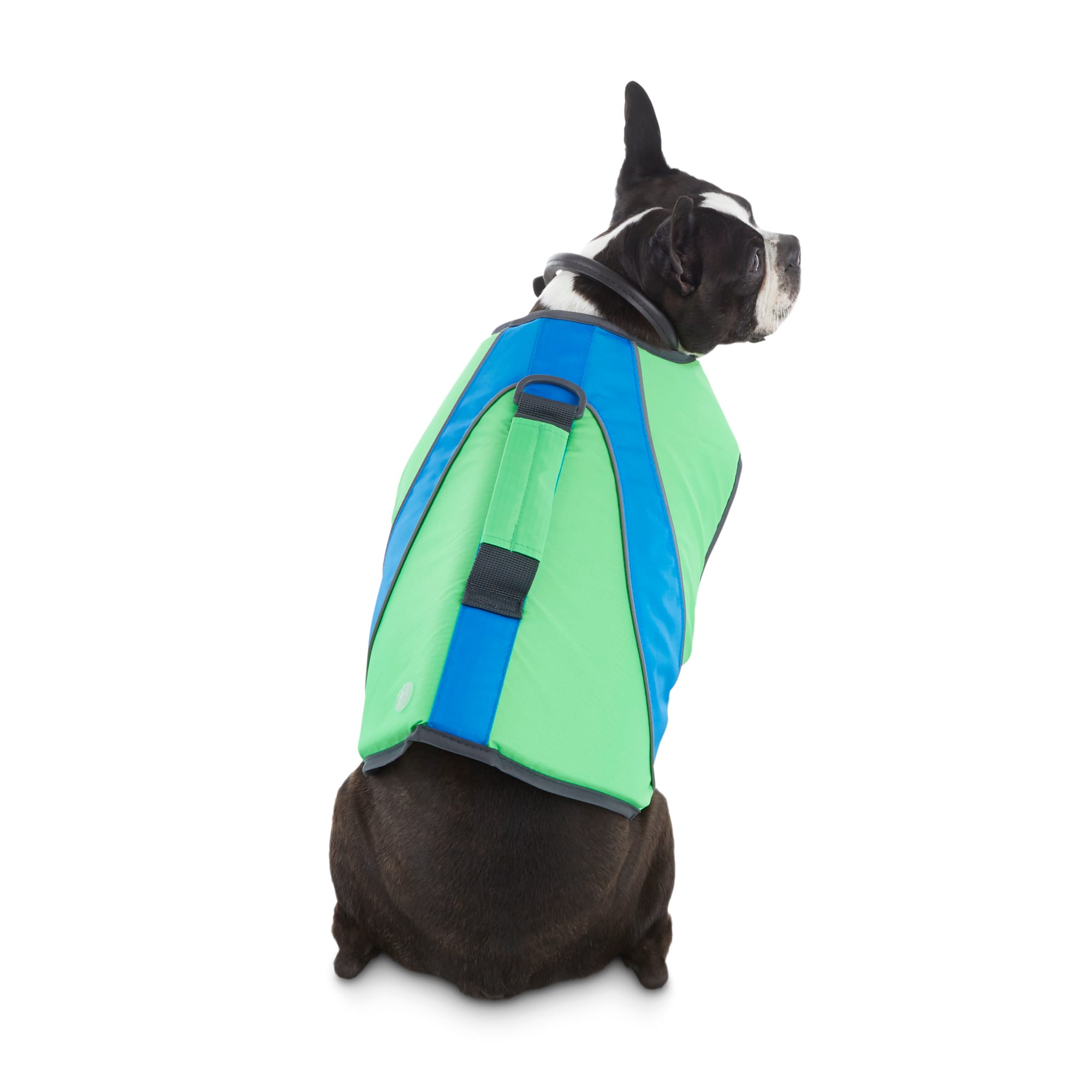 Dog on sale flotation device