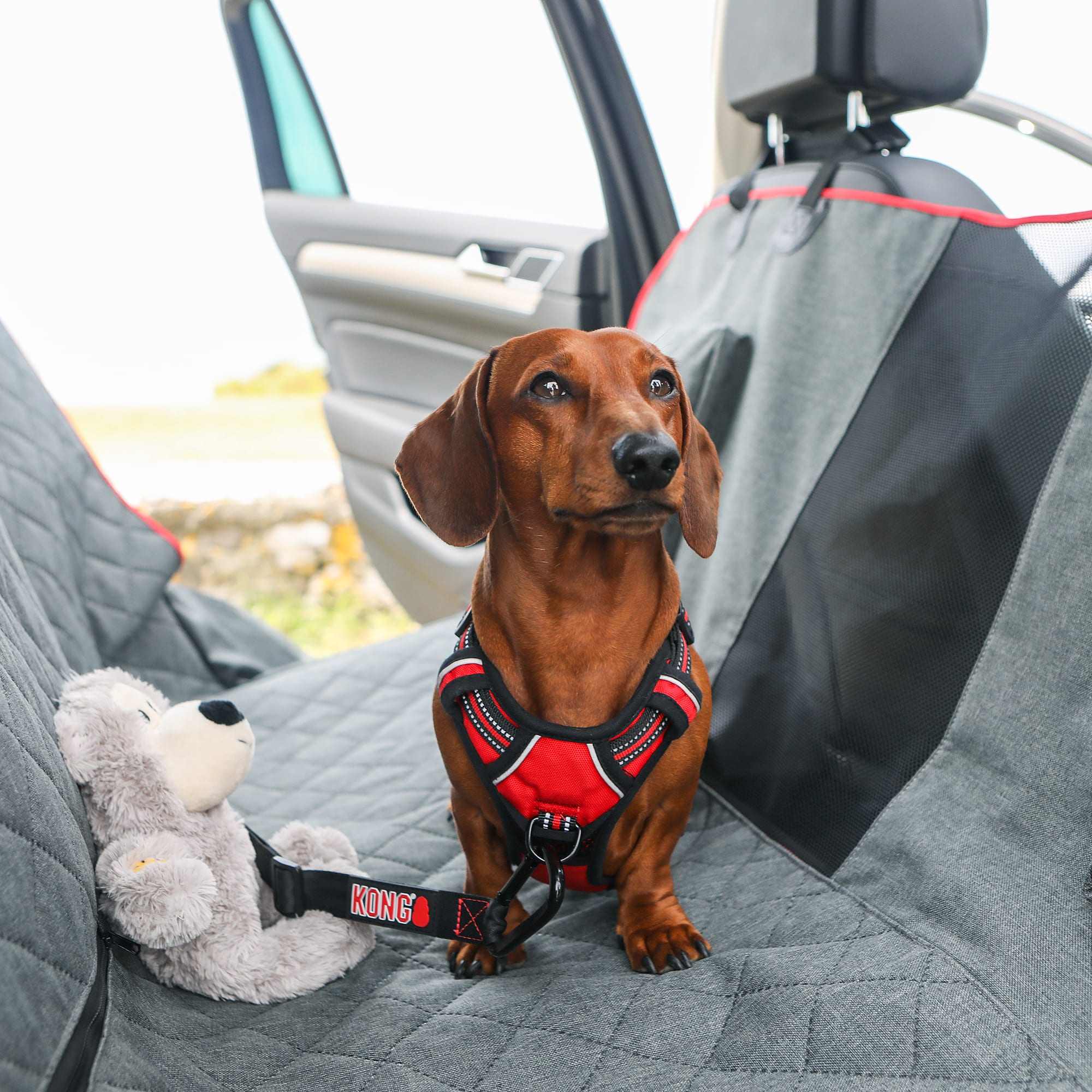 Dirty Dog 3-in-1 Car Seat Cover and Hammock Cool Grey