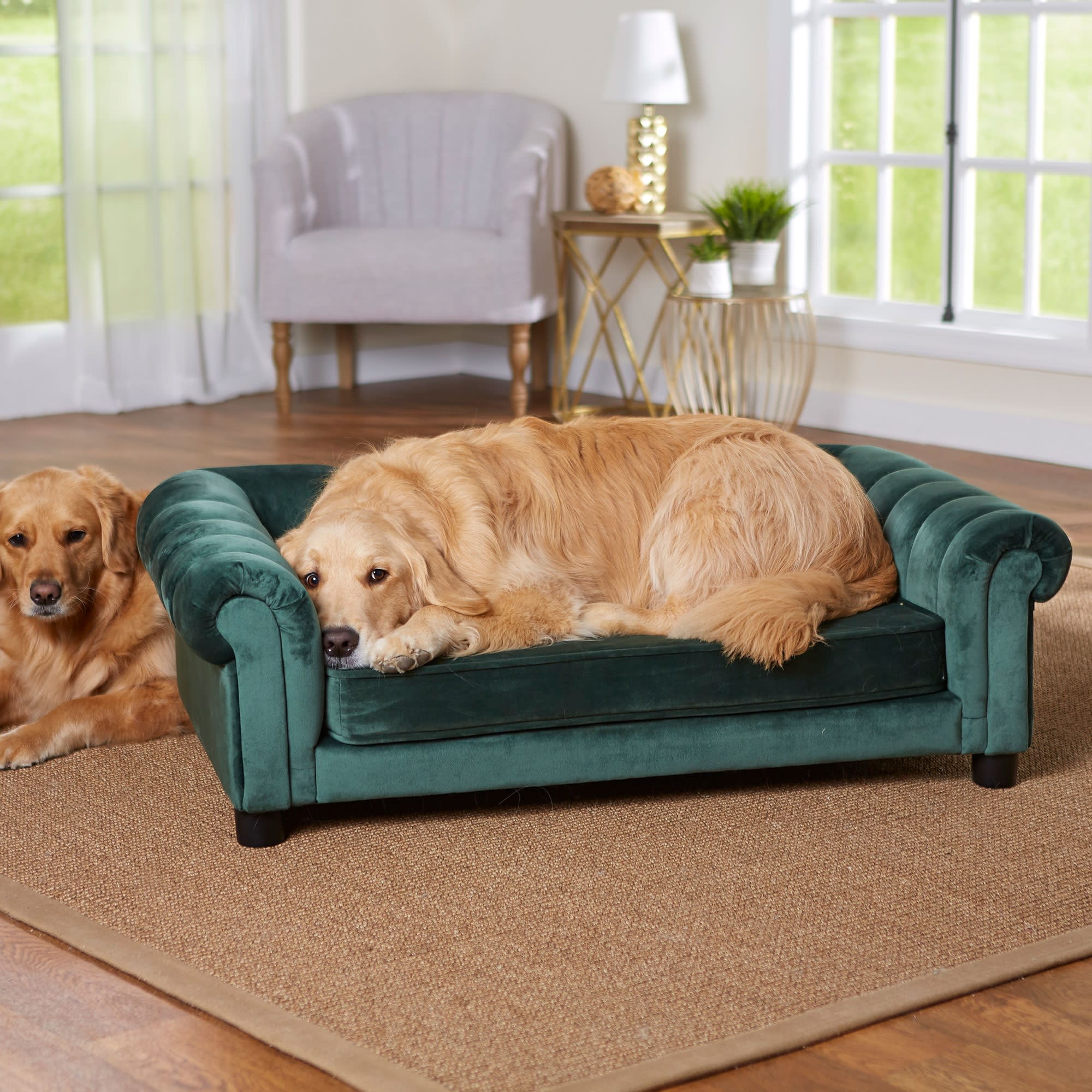 Enchanted Home Pet Emerald Sullivan Pet Sofa, 44.5" L X 27