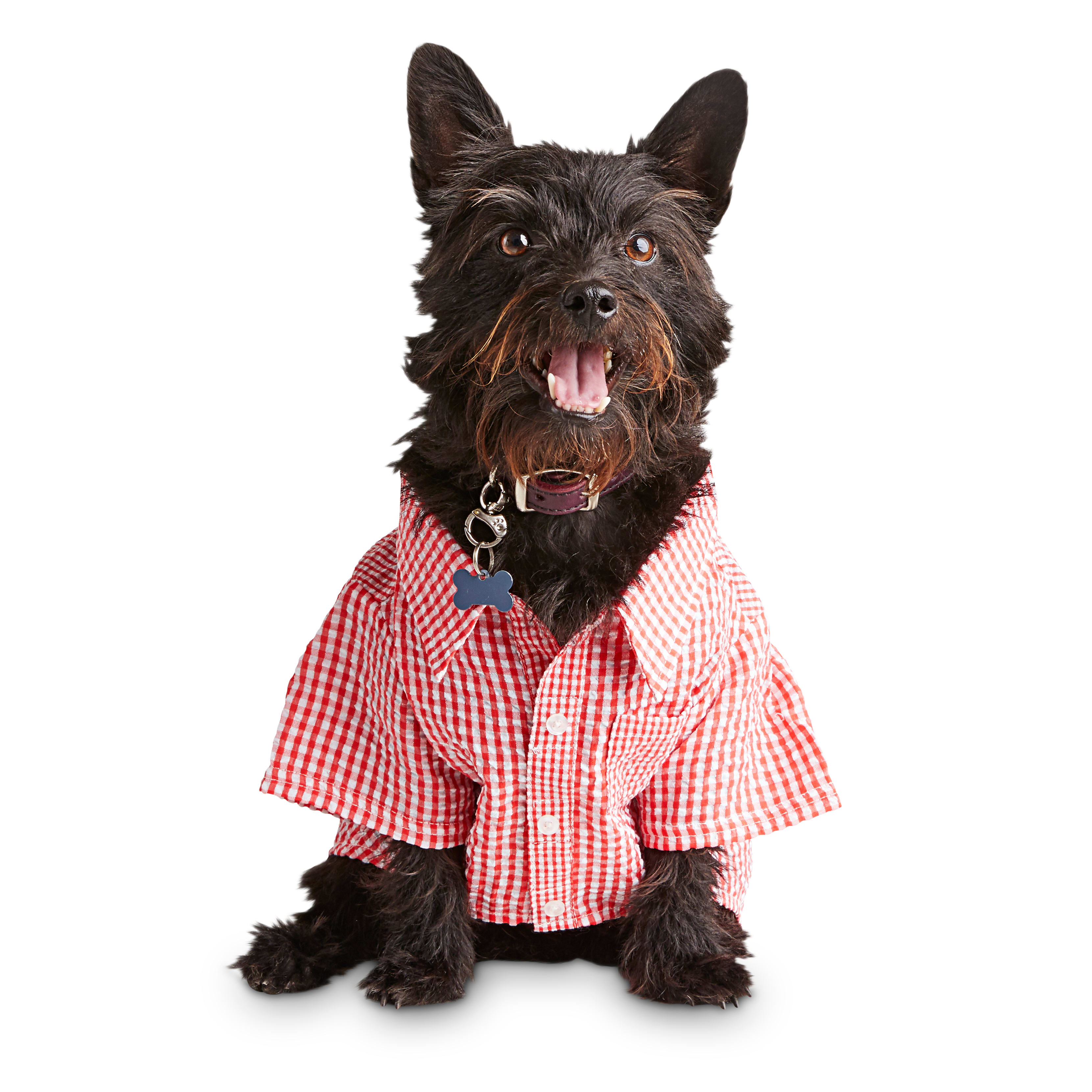 dog button up shirt
