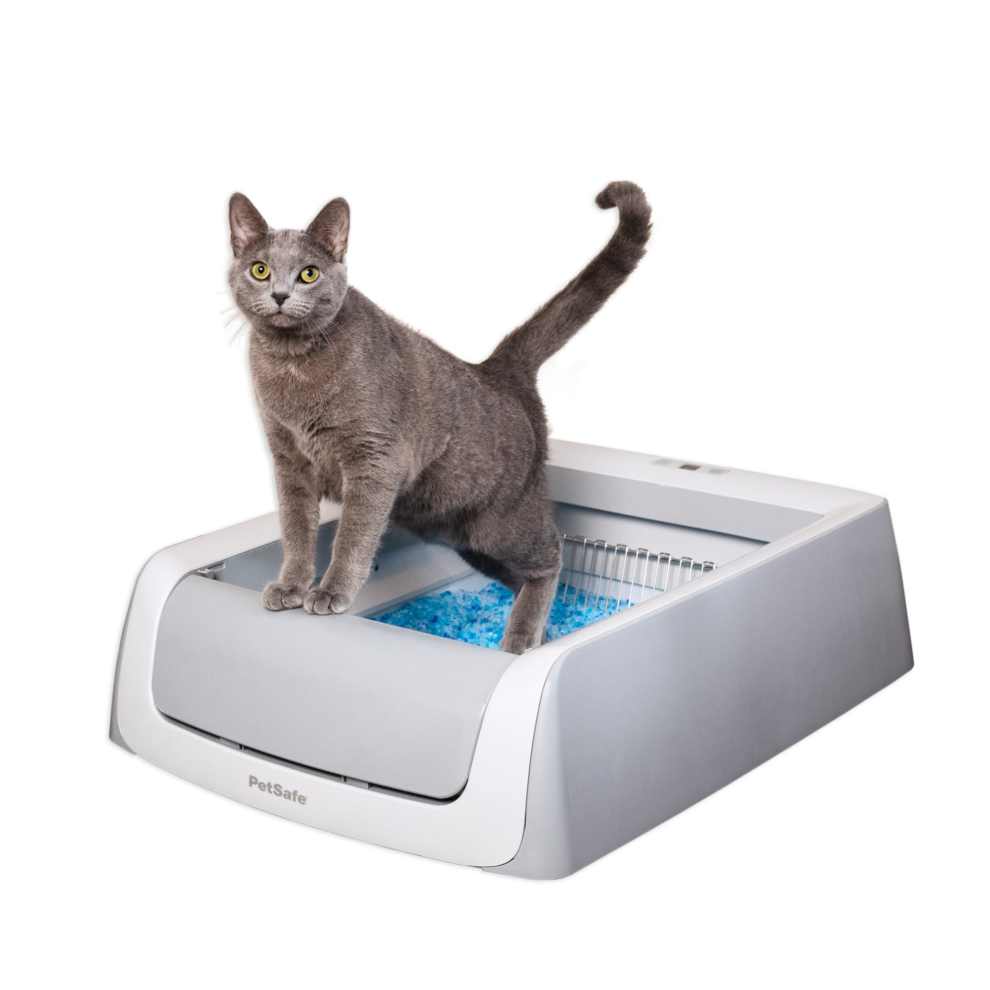 Cat potty tray best sale