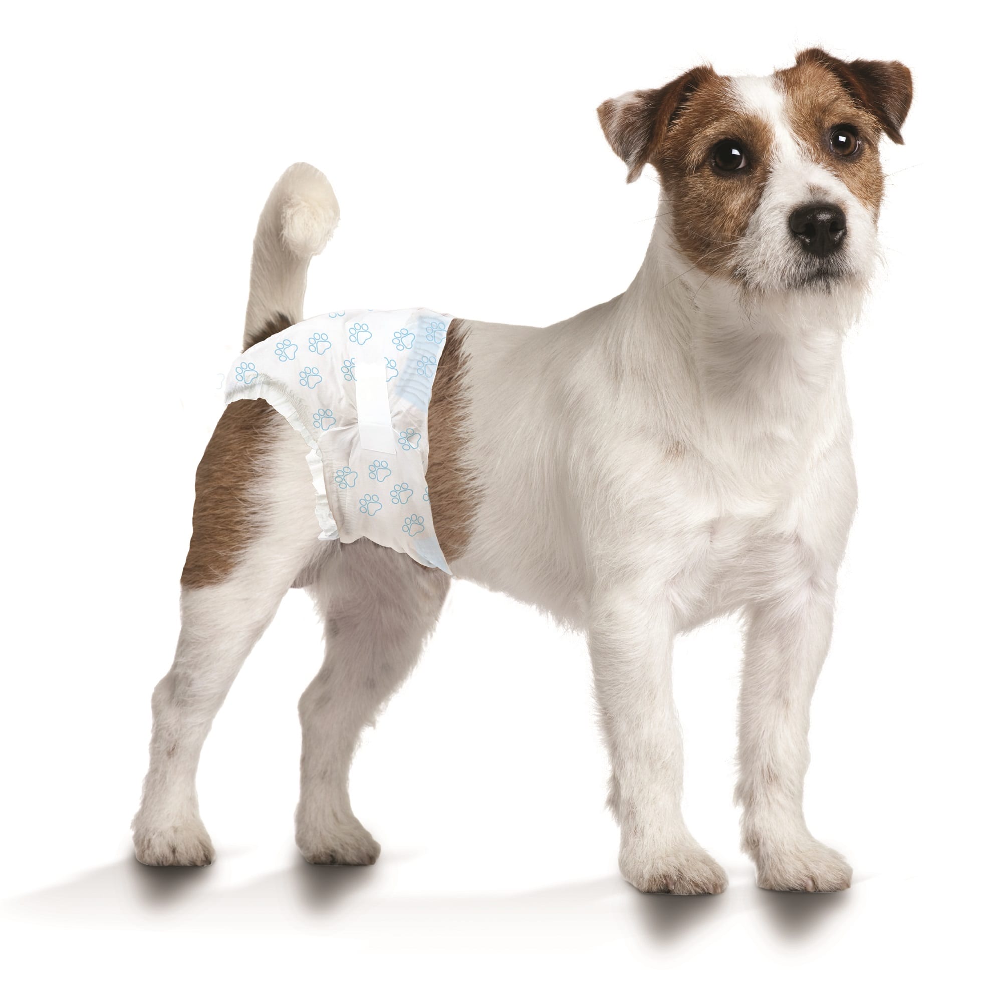 Wee Wee Dog Diapers Large X Large 36ct Leak Guard Indicator