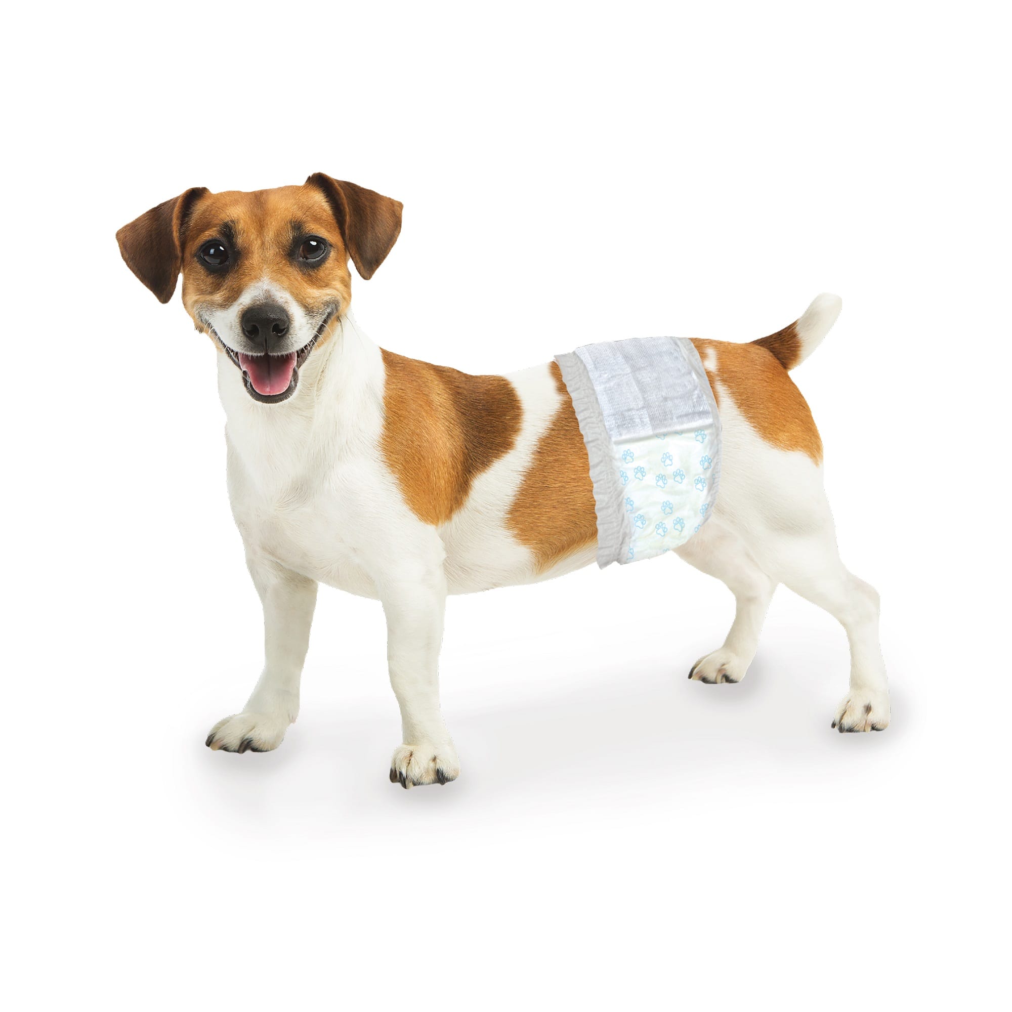 Petco disposable dog diapers best sale